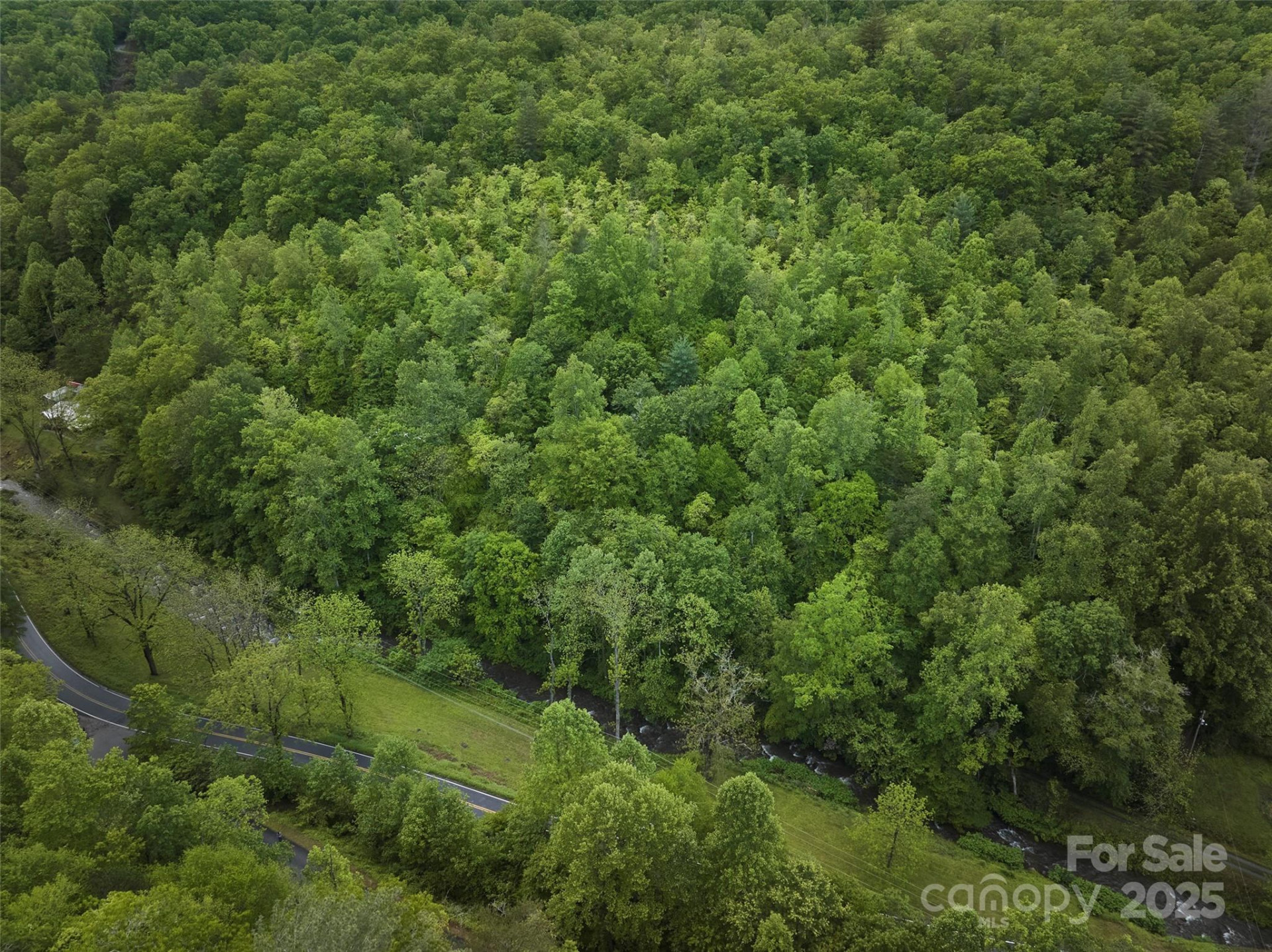 210 Conleys Creek Road - Photo 19