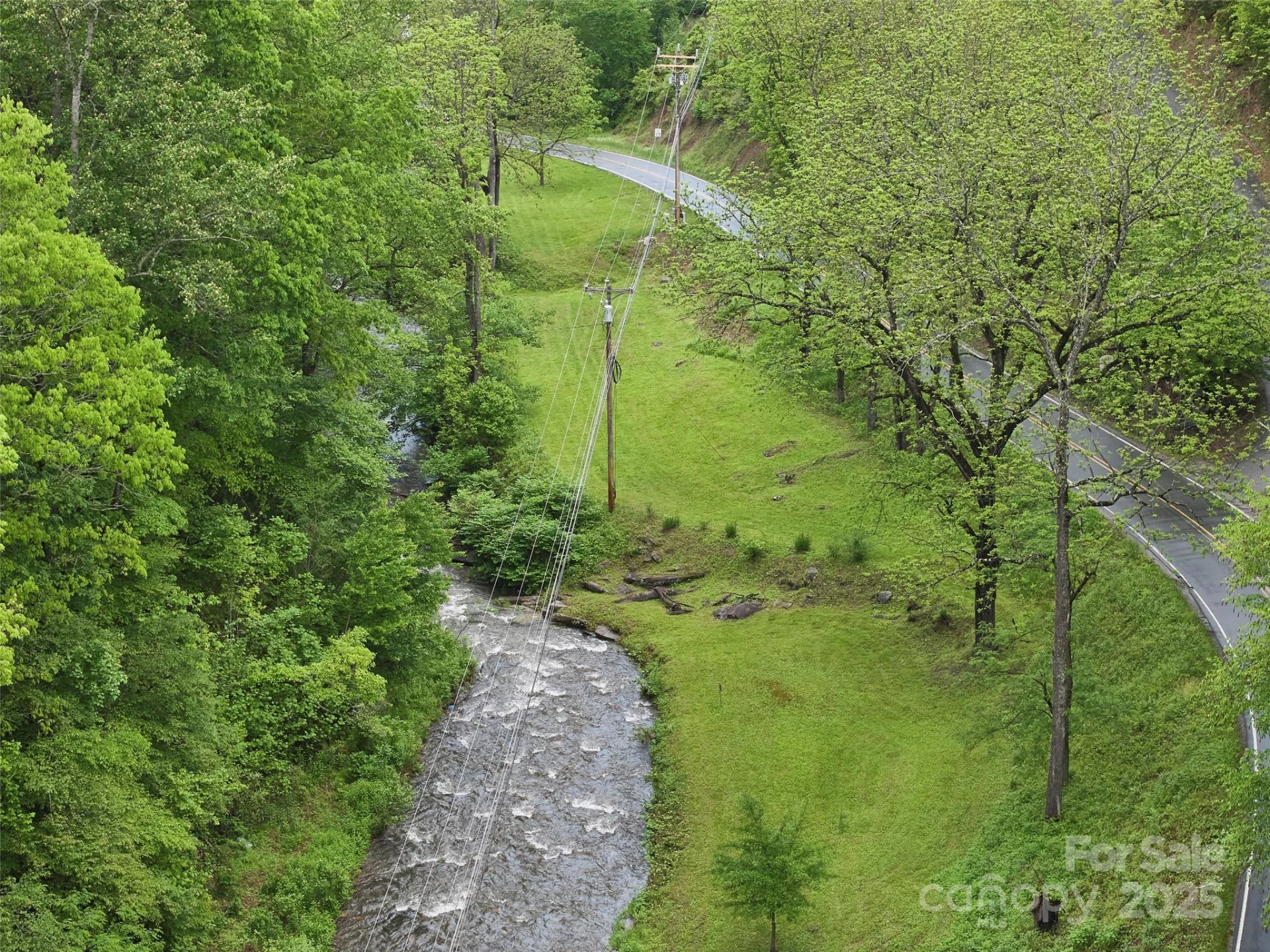 210 Conleys Creek Road - Photo 3