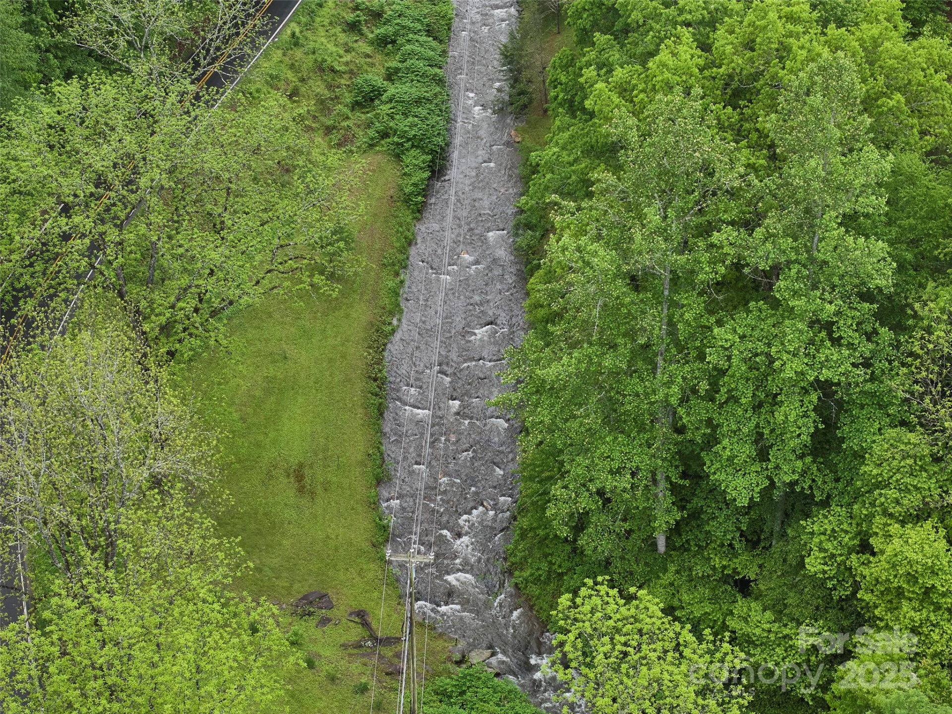 210 Conleys Creek Road - Photo 22