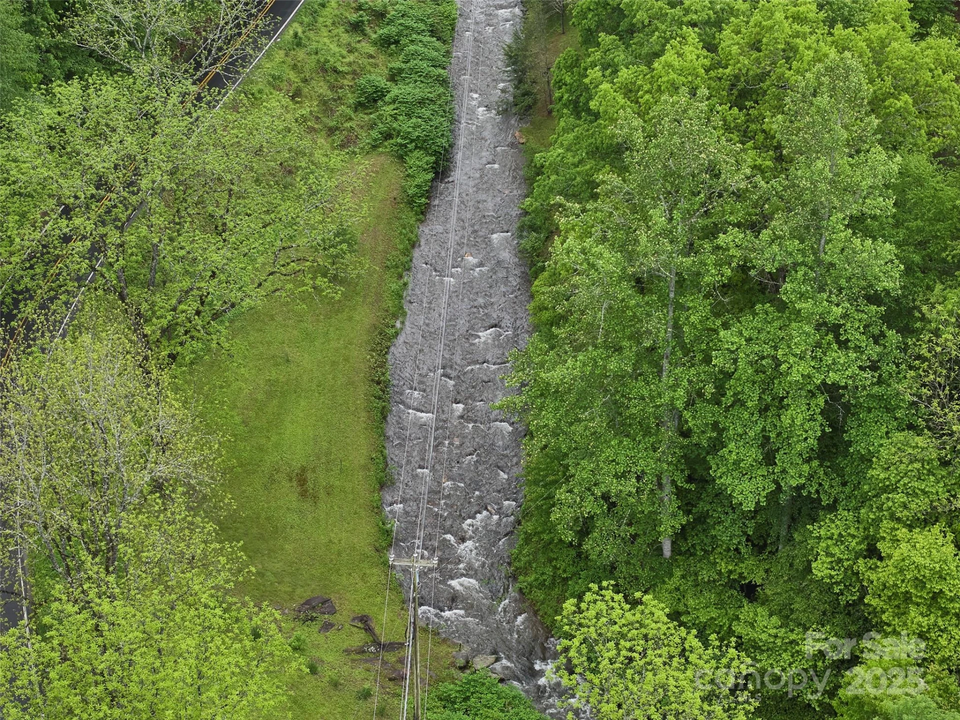 210 Conleys Creek Road - Photo 22