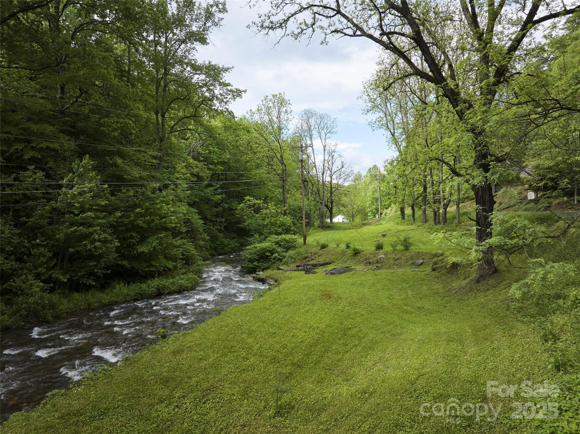 210 Conleys Creek Road - Photo 4