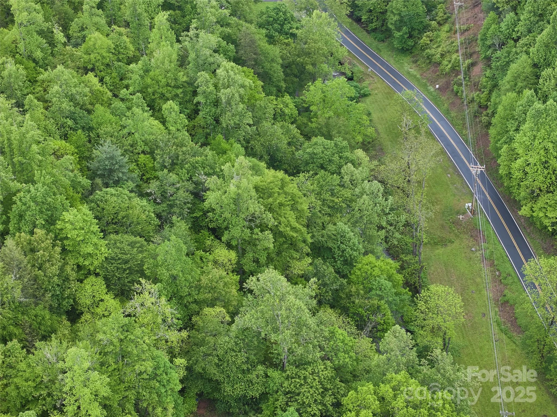 210 Conleys Creek Road - Photo 6