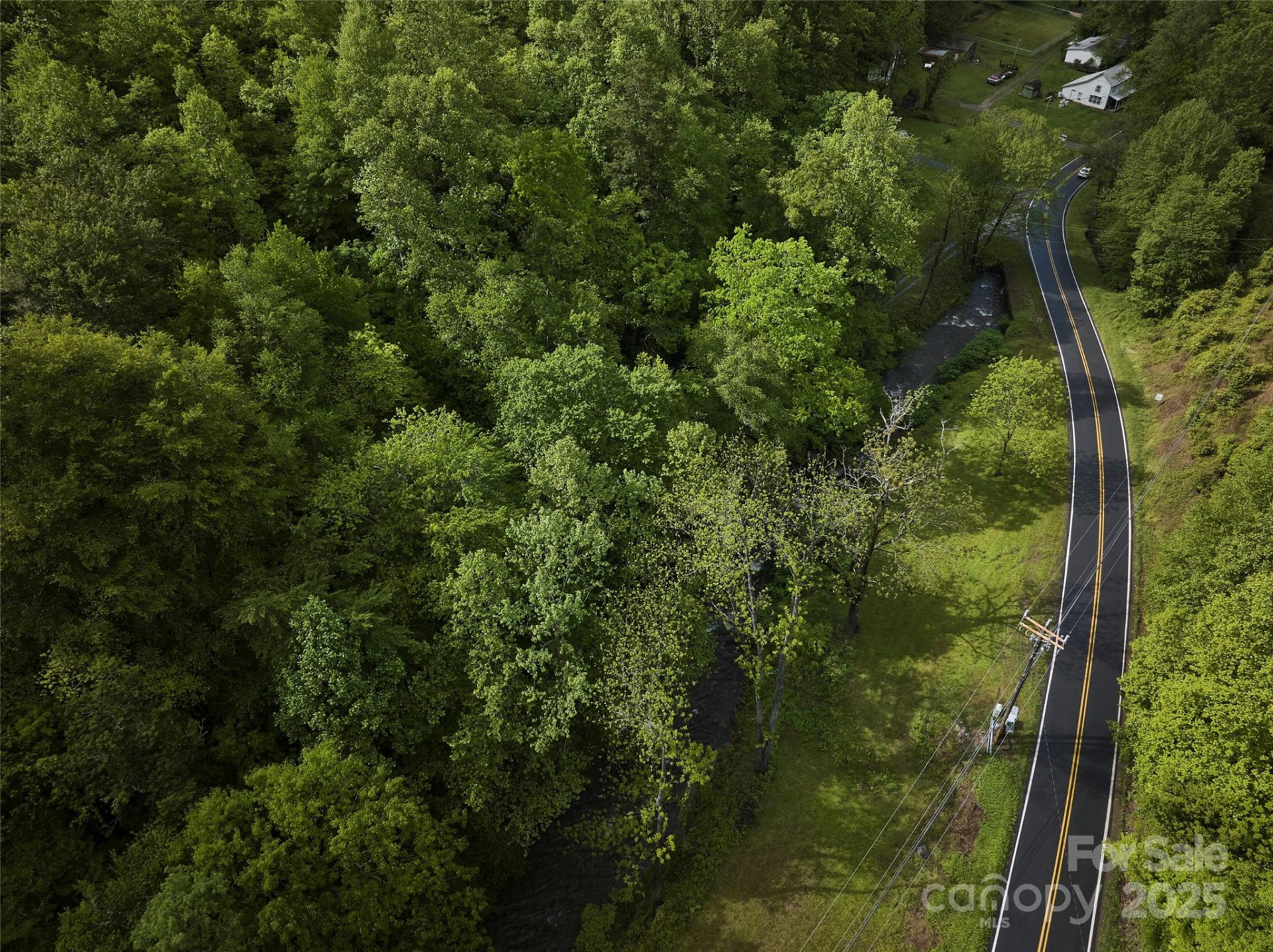 210 Conleys Creek Road - Photo 7