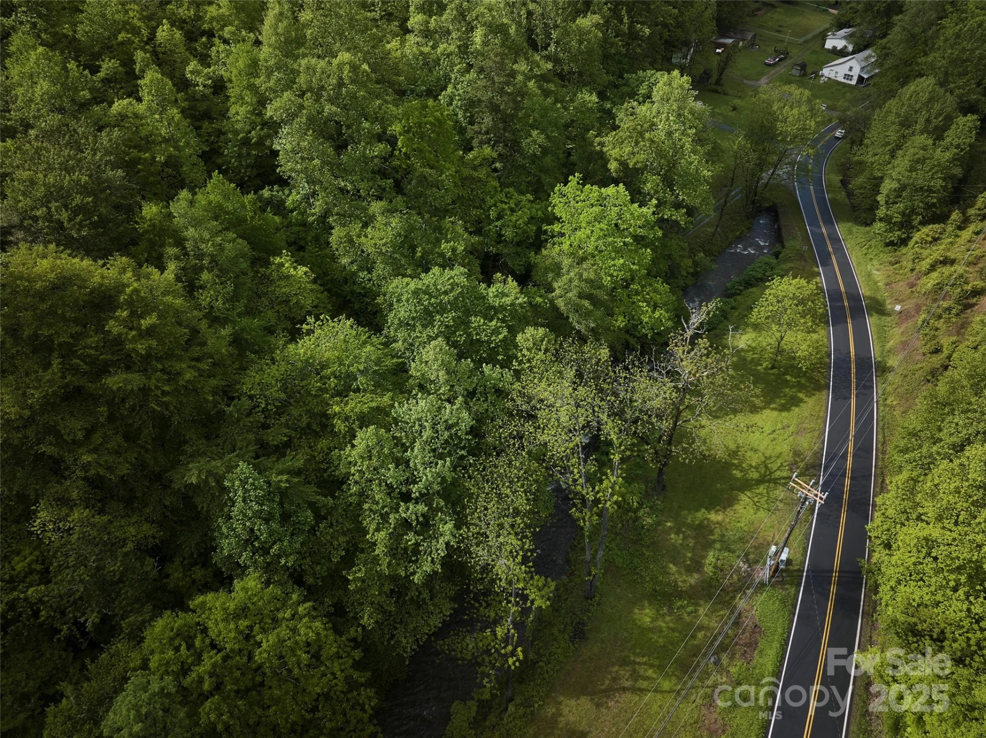 210 Conleys Creek Road - Photo 7