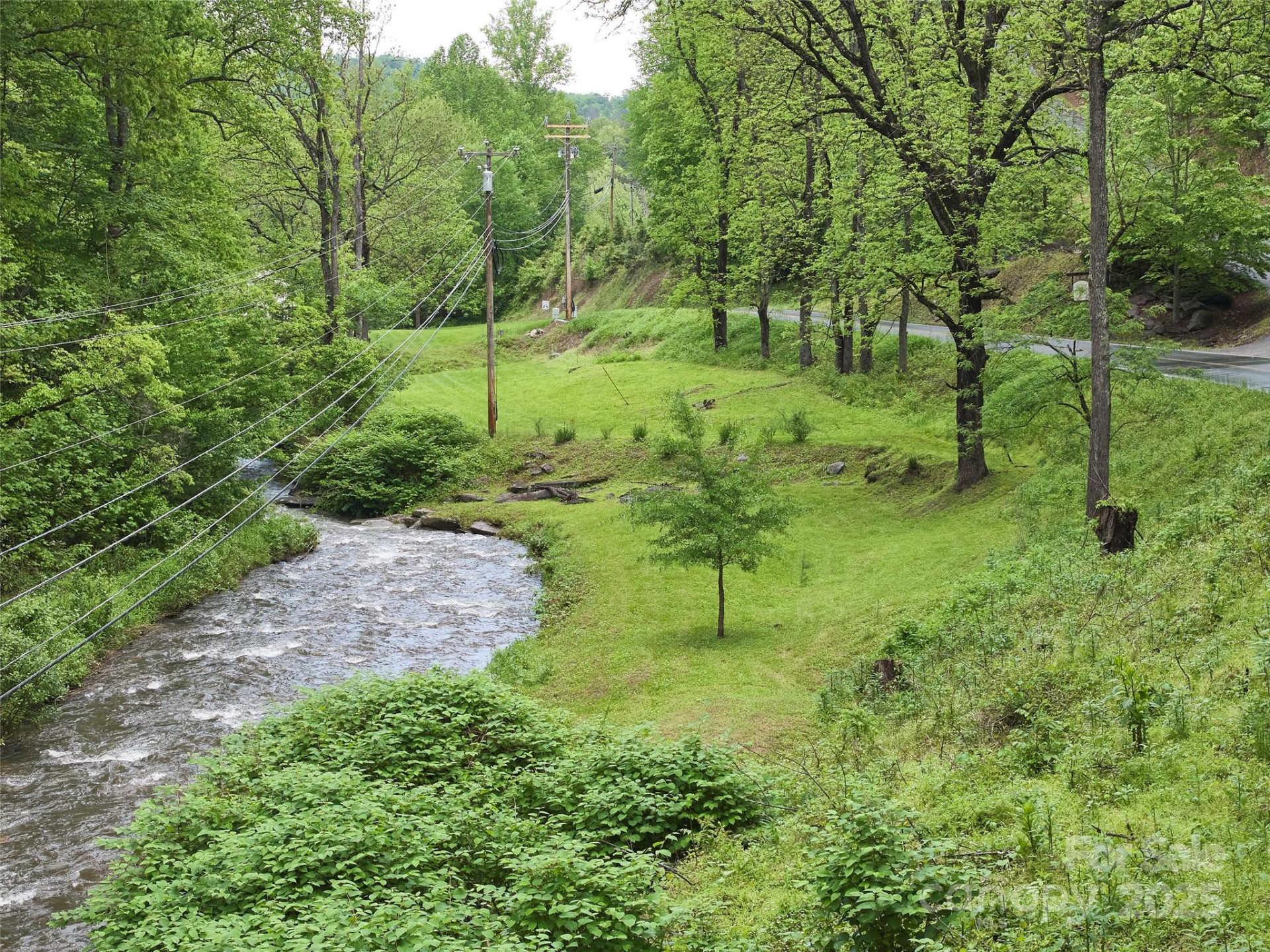 210 Conleys Creek Road - Photo 10