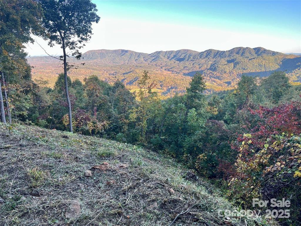 1591 Creston Drive #T-78 - Photo 2