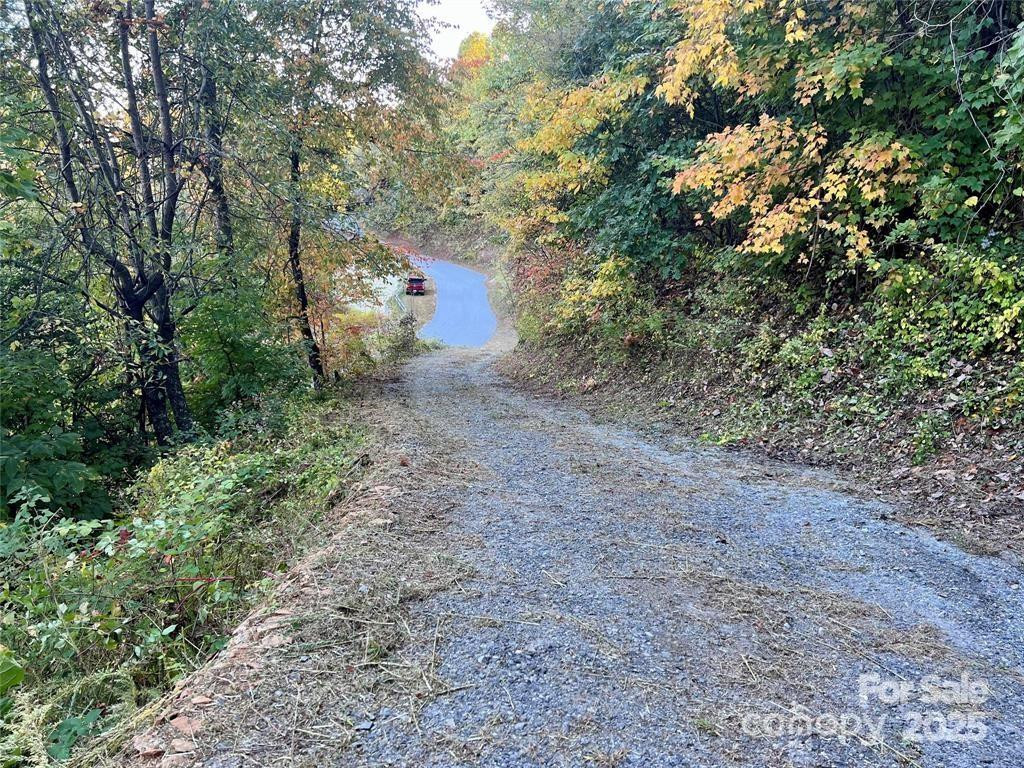 1591 Creston Drive #T-78 - Photo 11