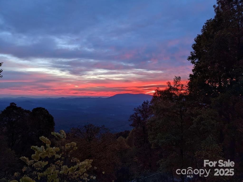 1591 Creston Drive #T-78 - Photo 3