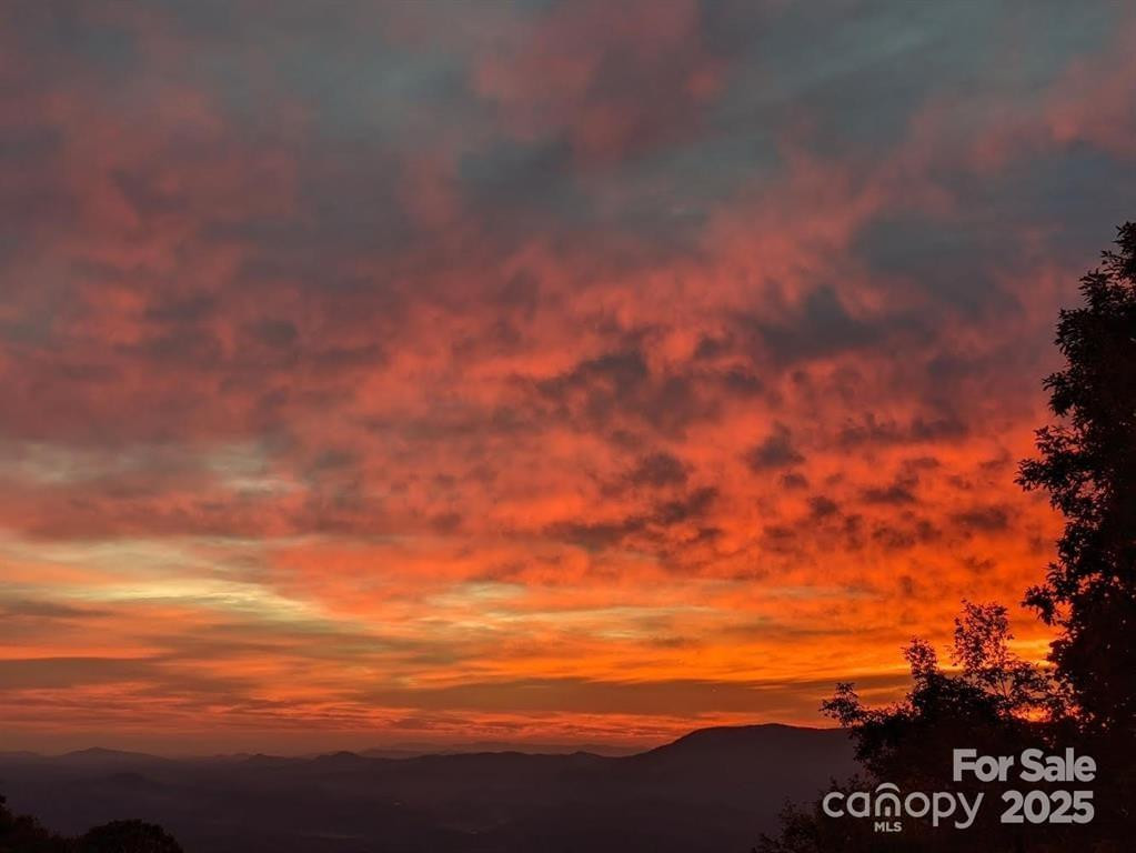 1591 Creston Drive #T-78 - Photo 4