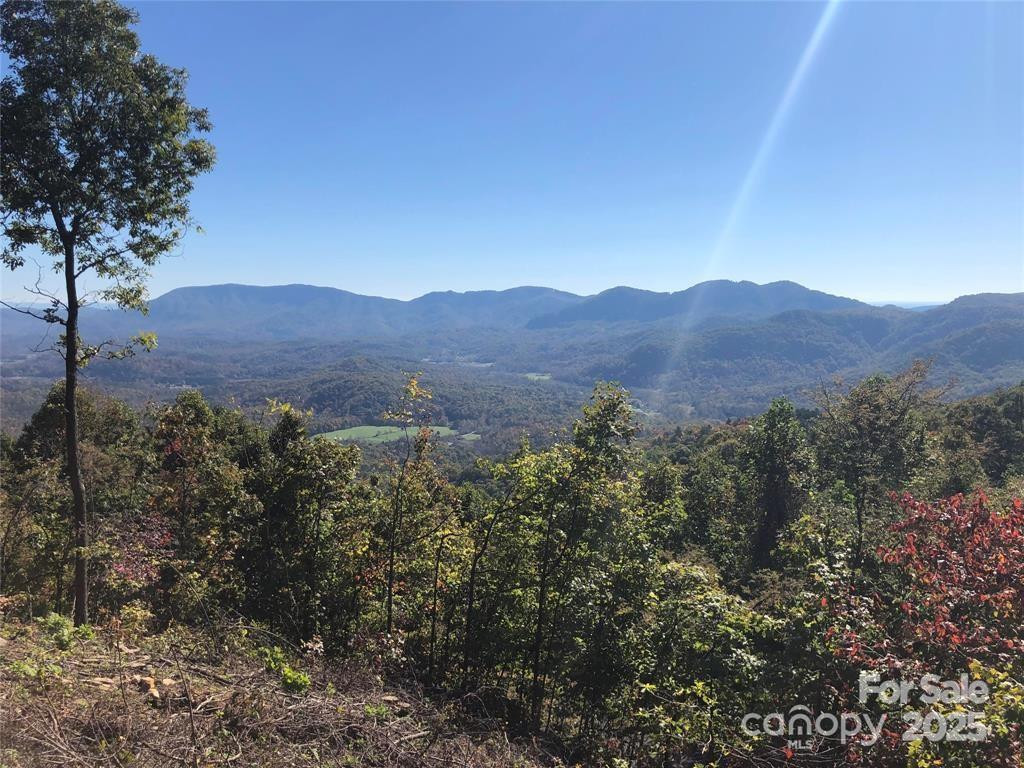 1591 Creston Drive #T-78 - Photo 5