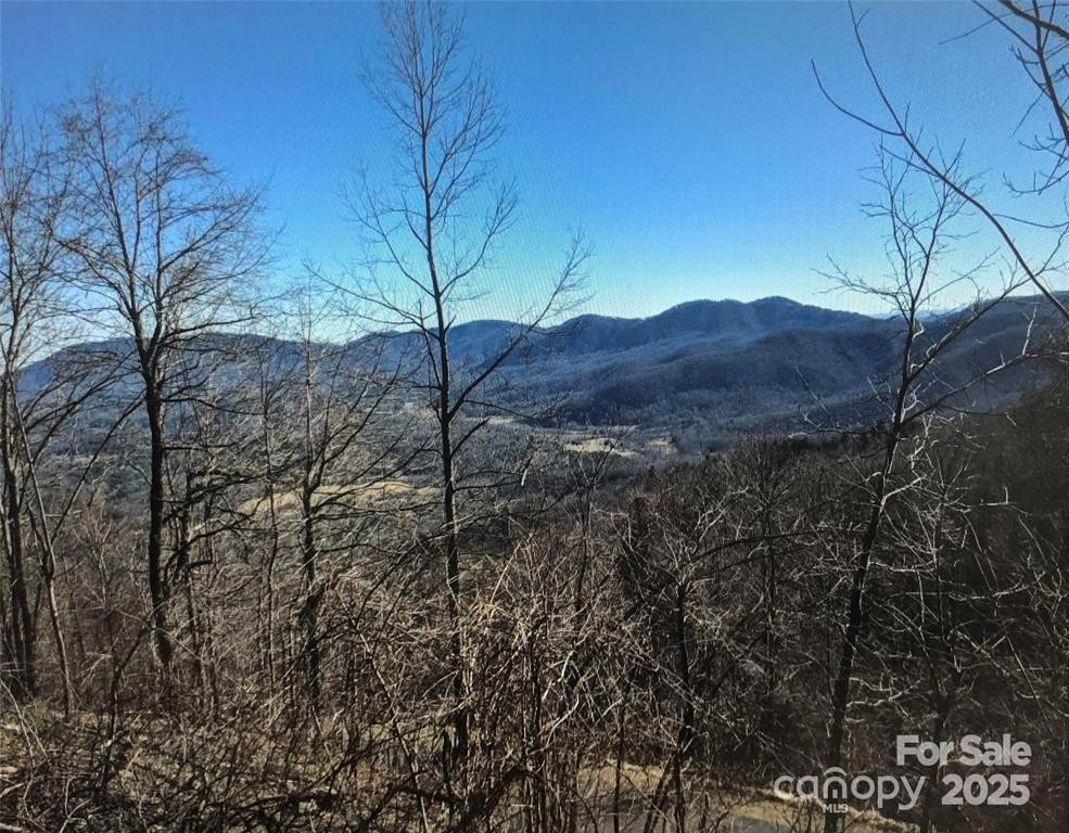 1591 Creston Drive #T-78 - Photo 6