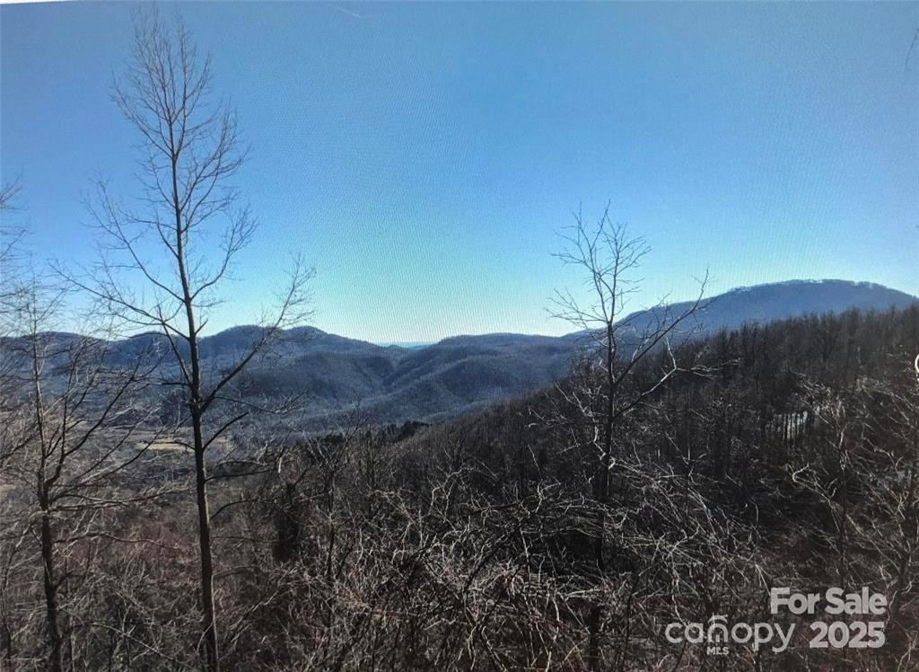 1591 Creston Drive #T-78 - Photo 7