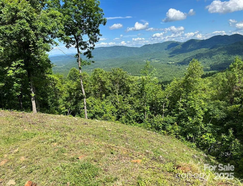 1591 Creston Drive #T-78 - Photo 8