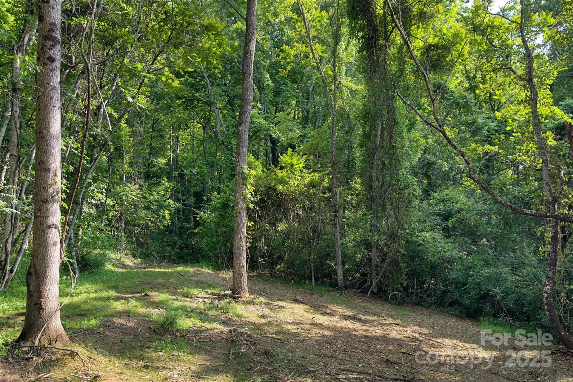 V/L Smith Knolls Road - Photo 12
