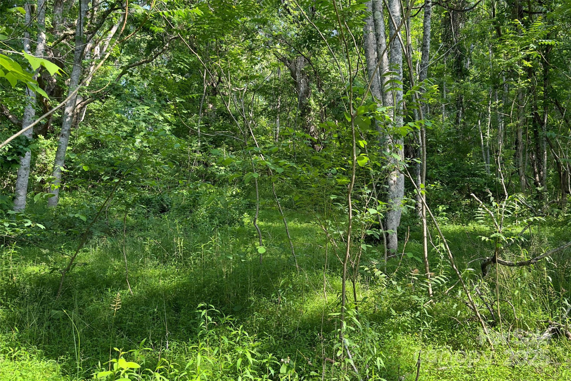 V/L Smith Knolls Road - Photo 13