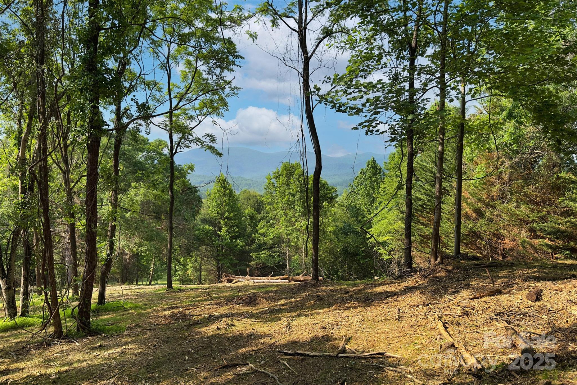 V/L Smith Knolls Road - Photo 14