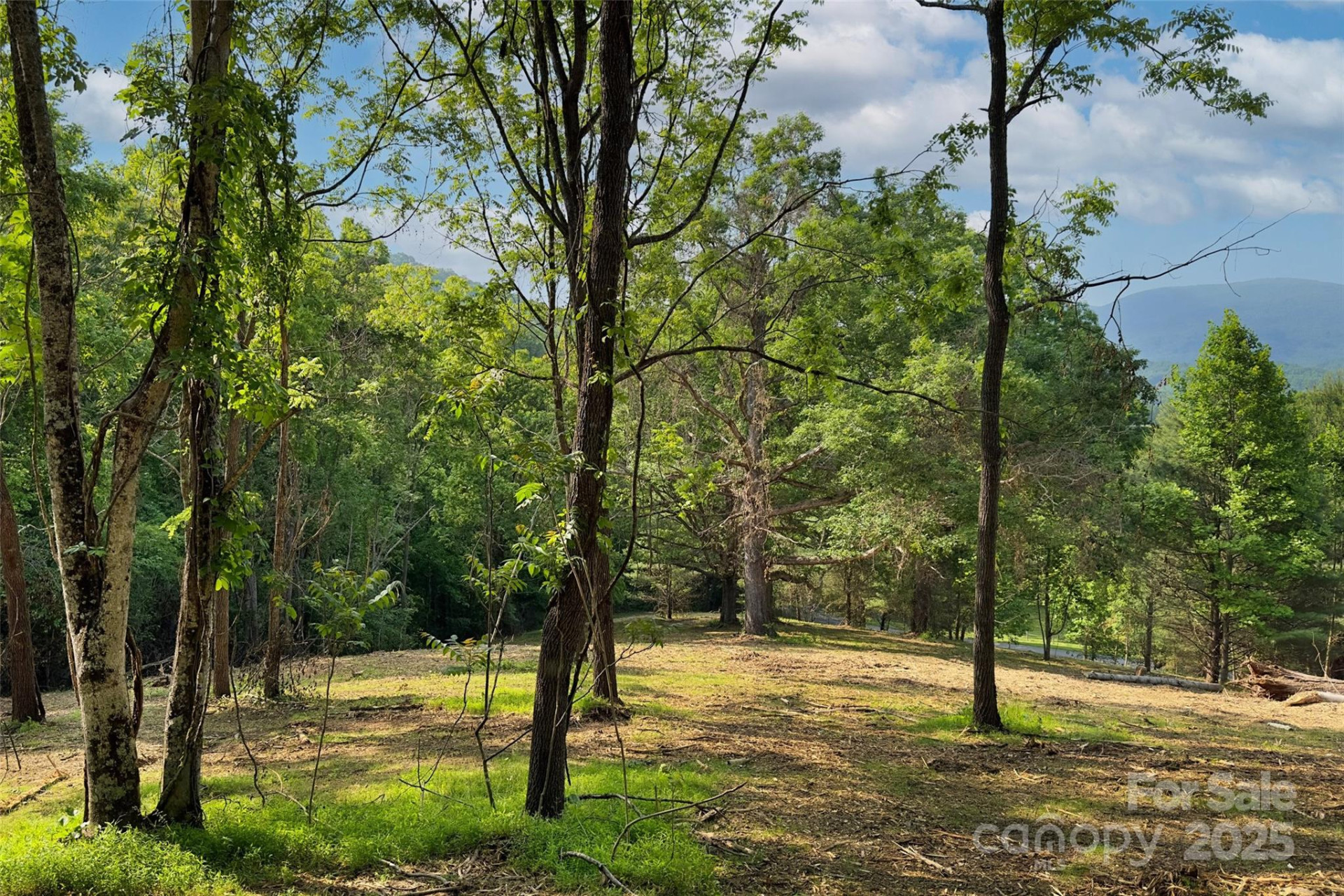 V/L Smith Knolls Road - Photo 15