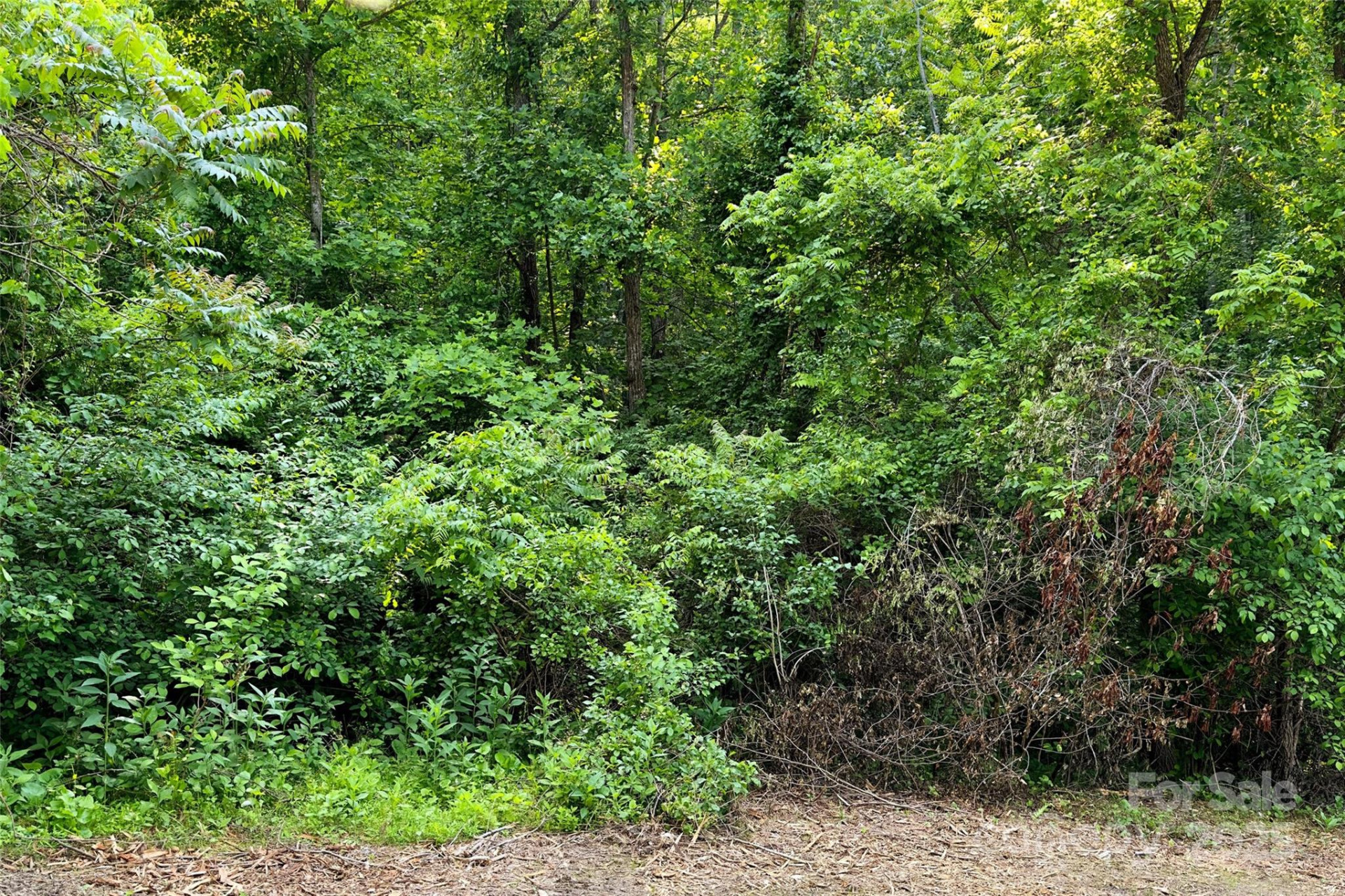 V/L Smith Knolls Road - Photo 16