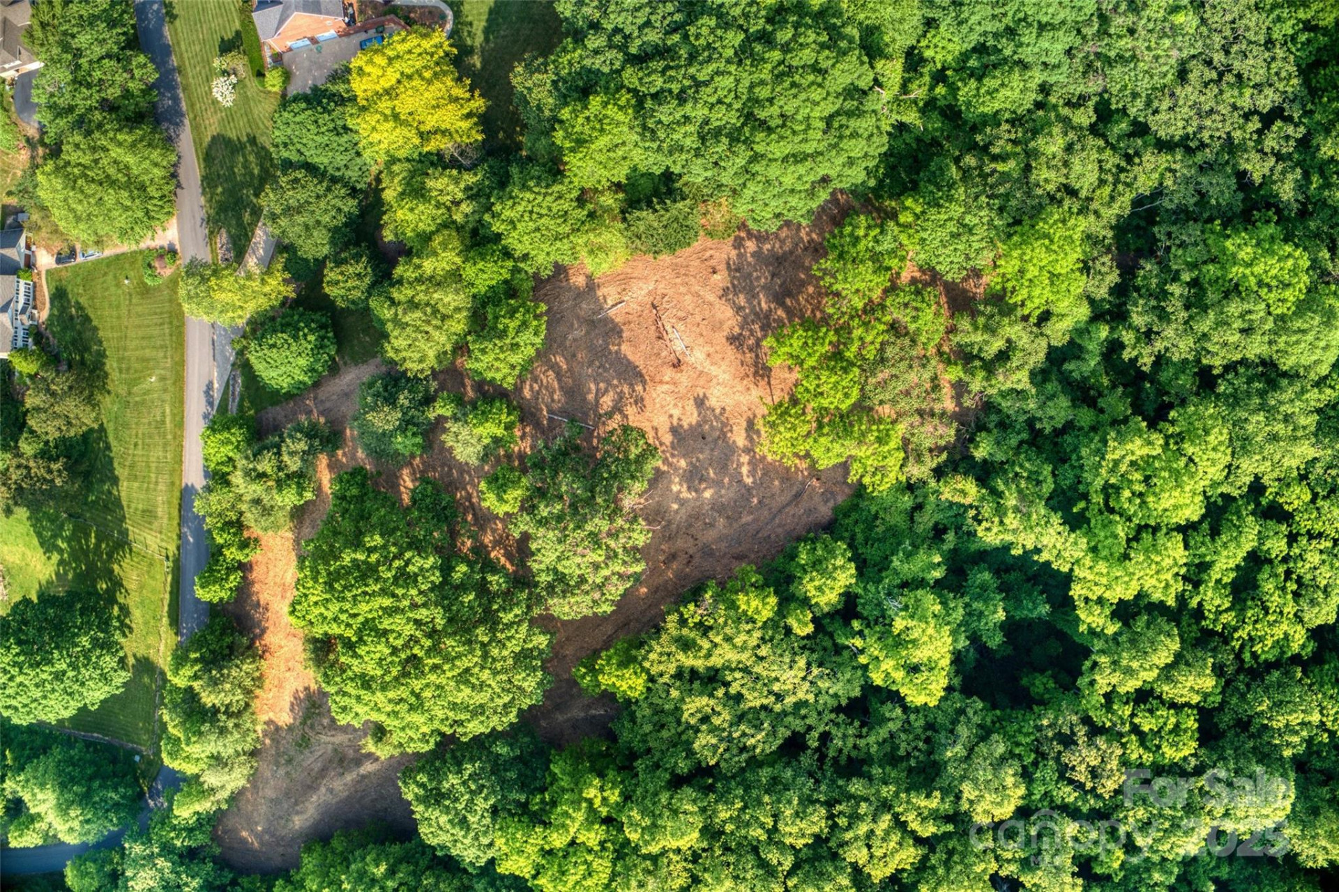 V/L Smith Knolls Road - Photo 18