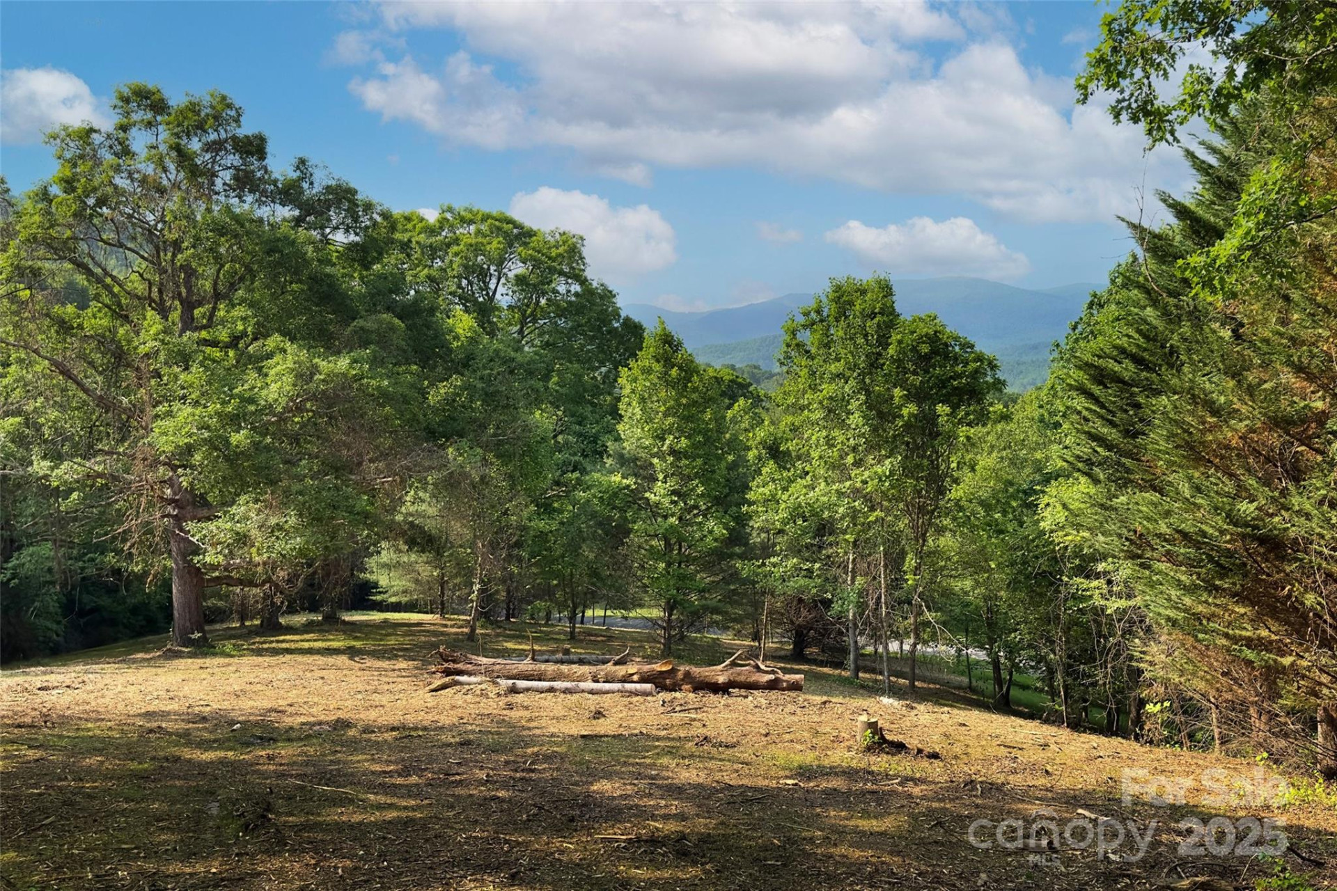 V/L Smith Knolls Road - Photo 3