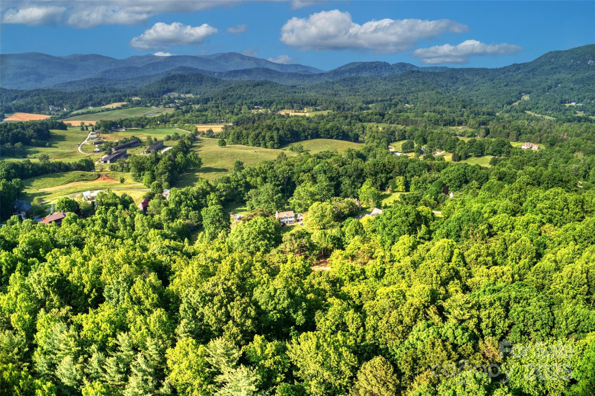 V/L Smith Knolls Road - Photo 23