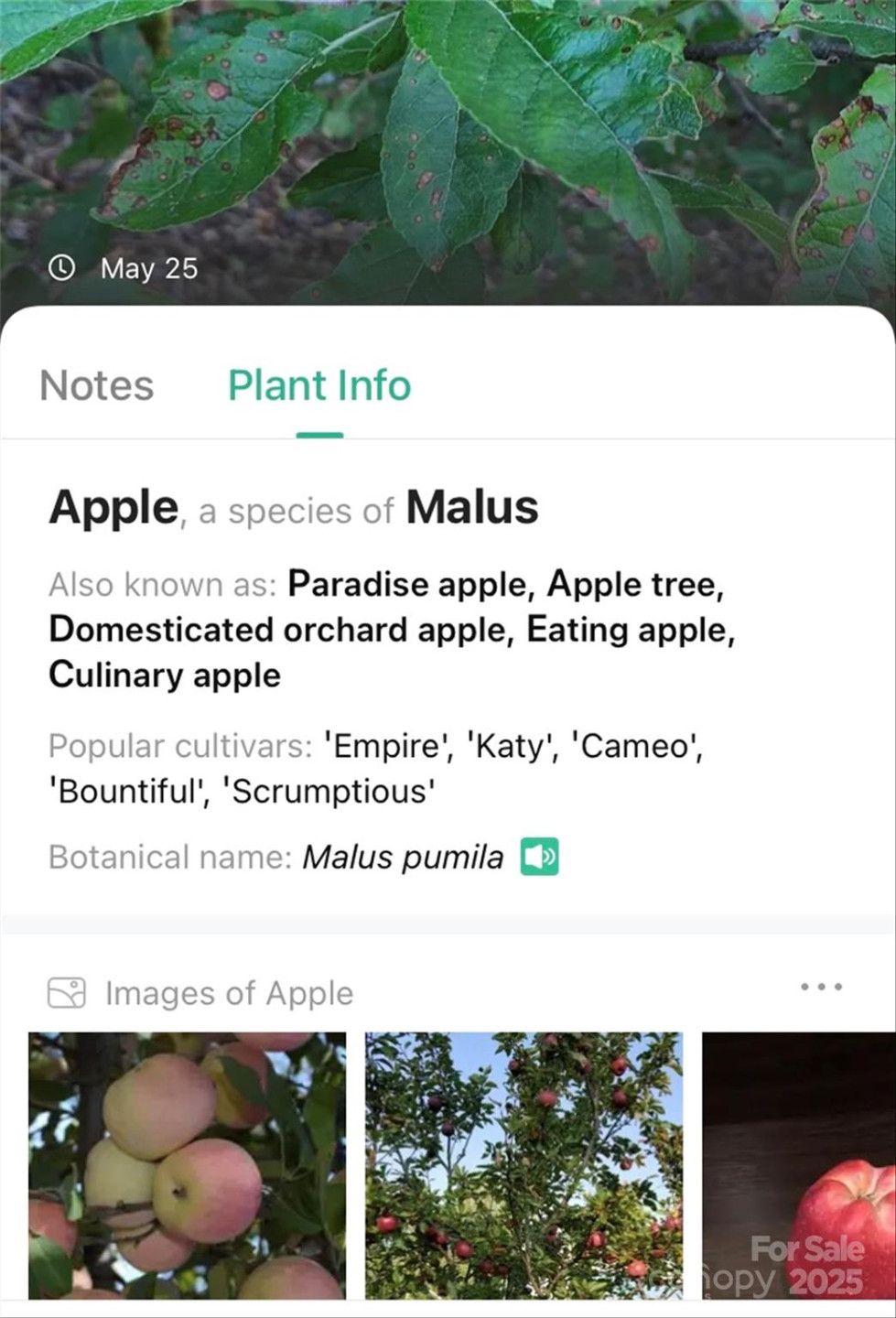 V/L Smith Knolls Road - Photo 25