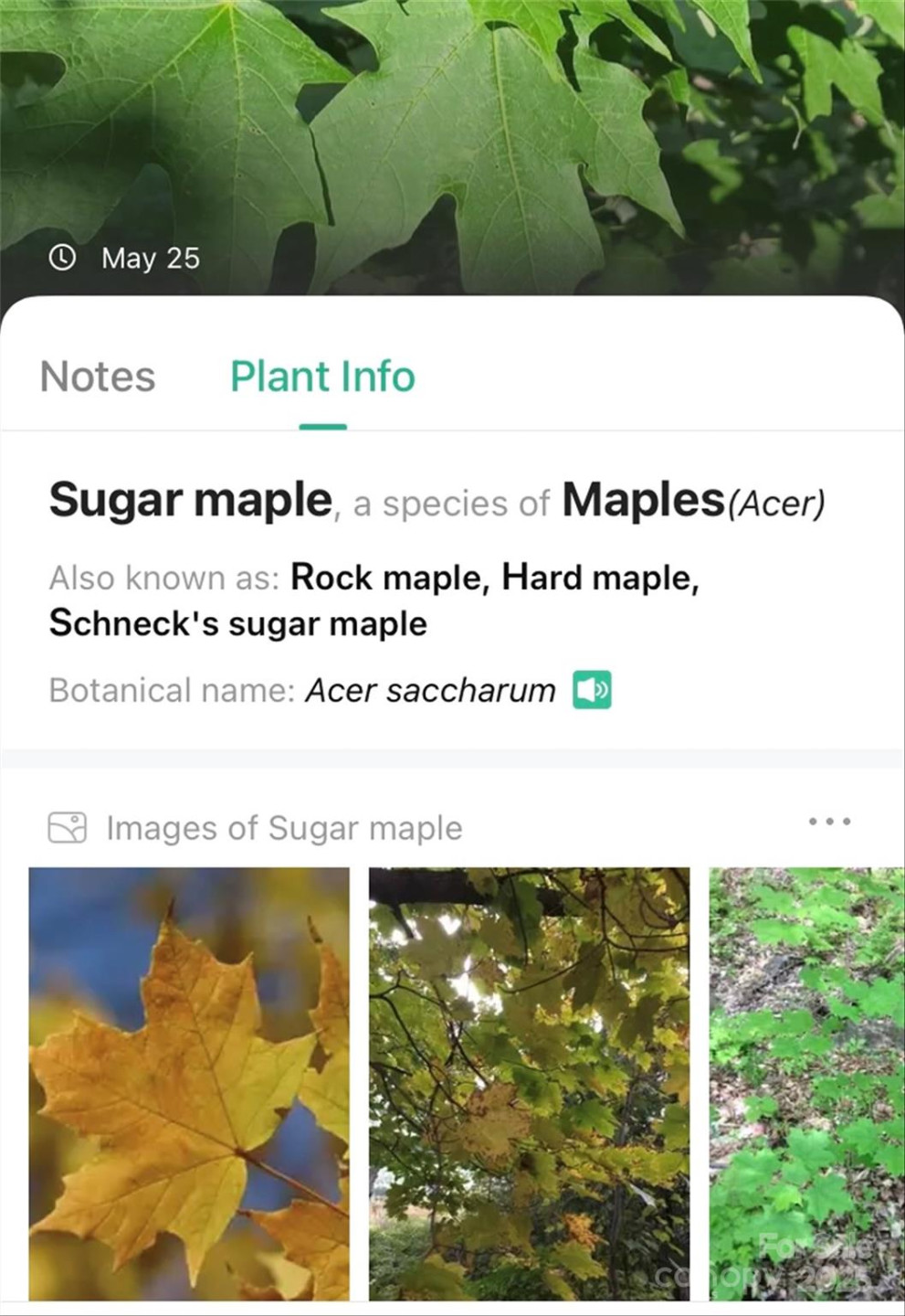V/L Smith Knolls Road - Photo 26