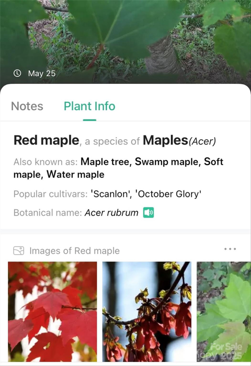 V/L Smith Knolls Road - Photo 27