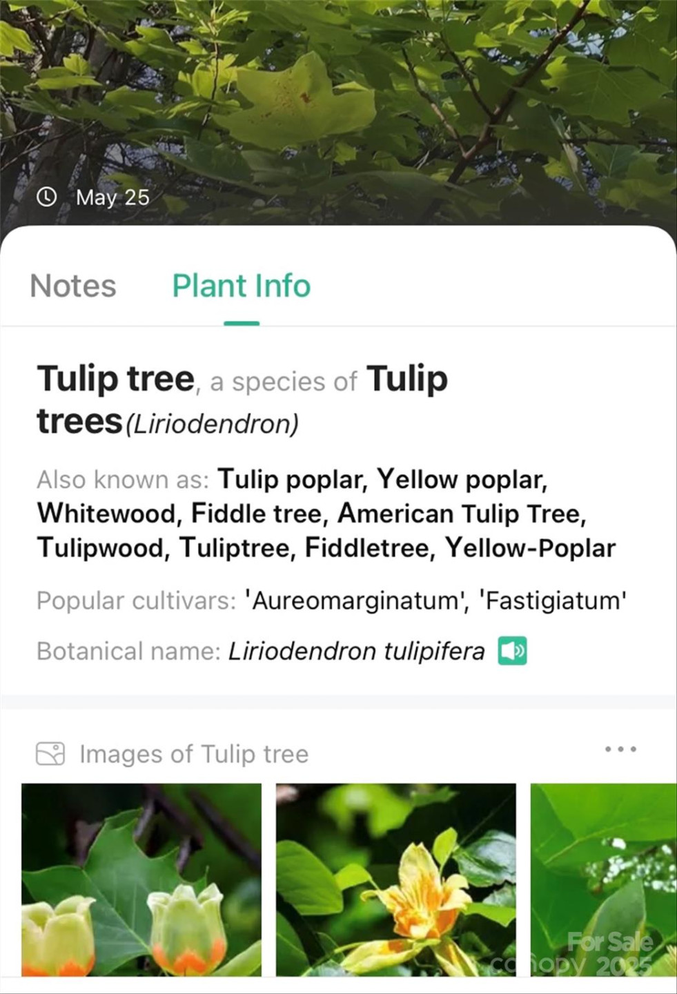 V/L Smith Knolls Road - Photo 28