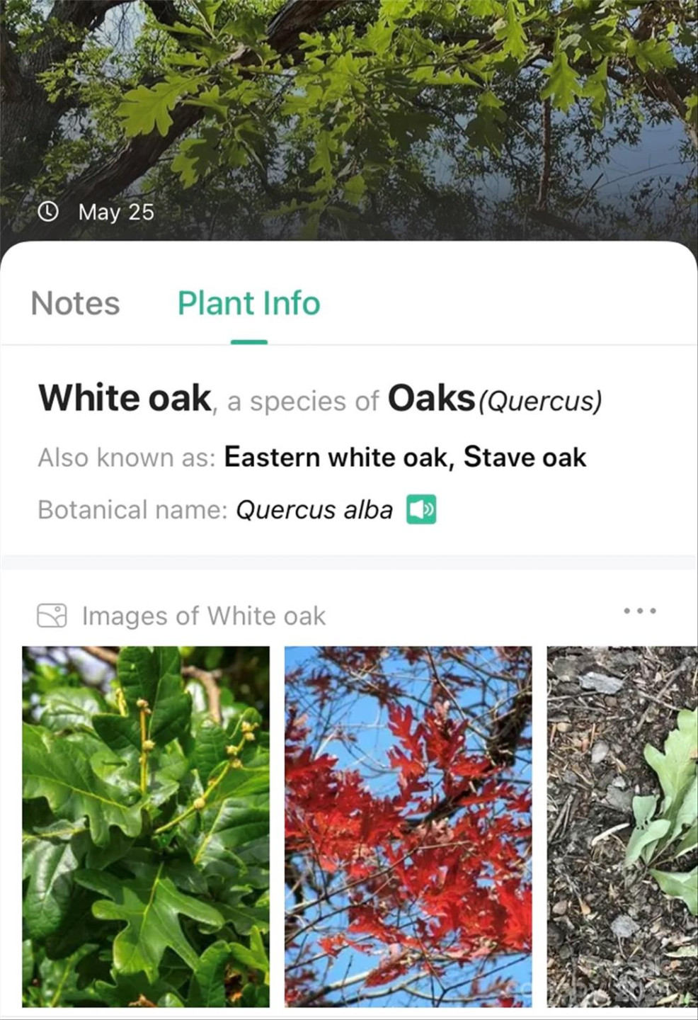 V/L Smith Knolls Road - Photo 30