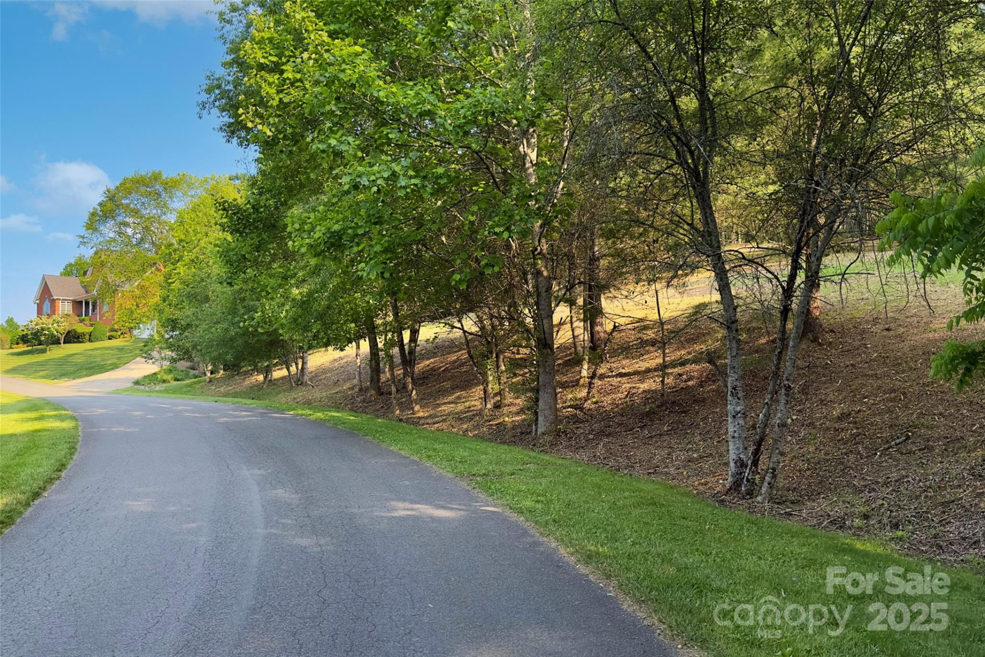 V/L Smith Knolls Road - Photo 4