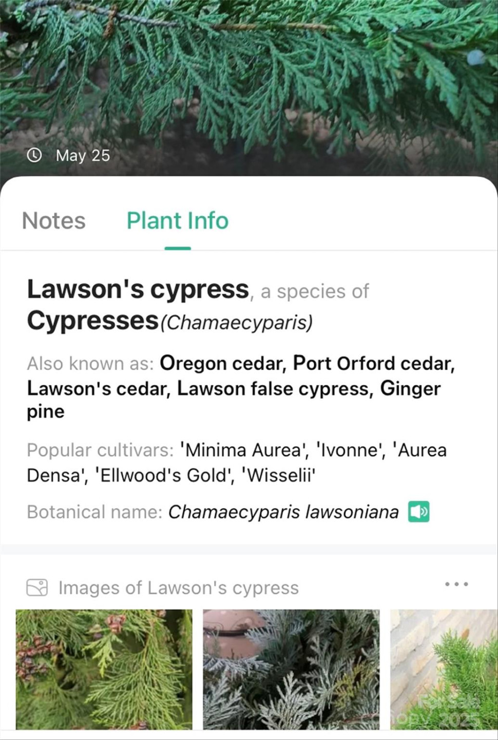 V/L Smith Knolls Road - Photo 31