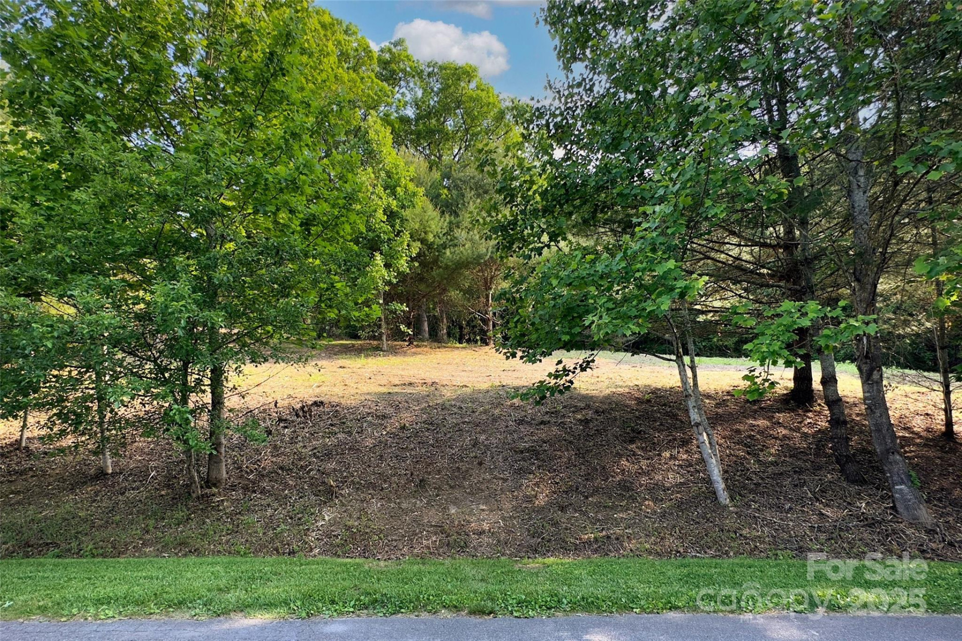 V/L Smith Knolls Road - Photo 5