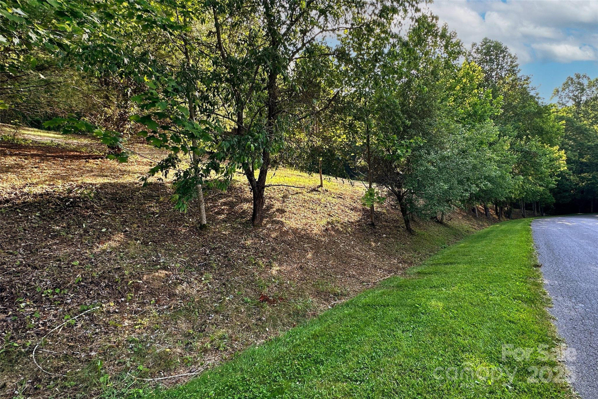 V/L Smith Knolls Road - Photo 6