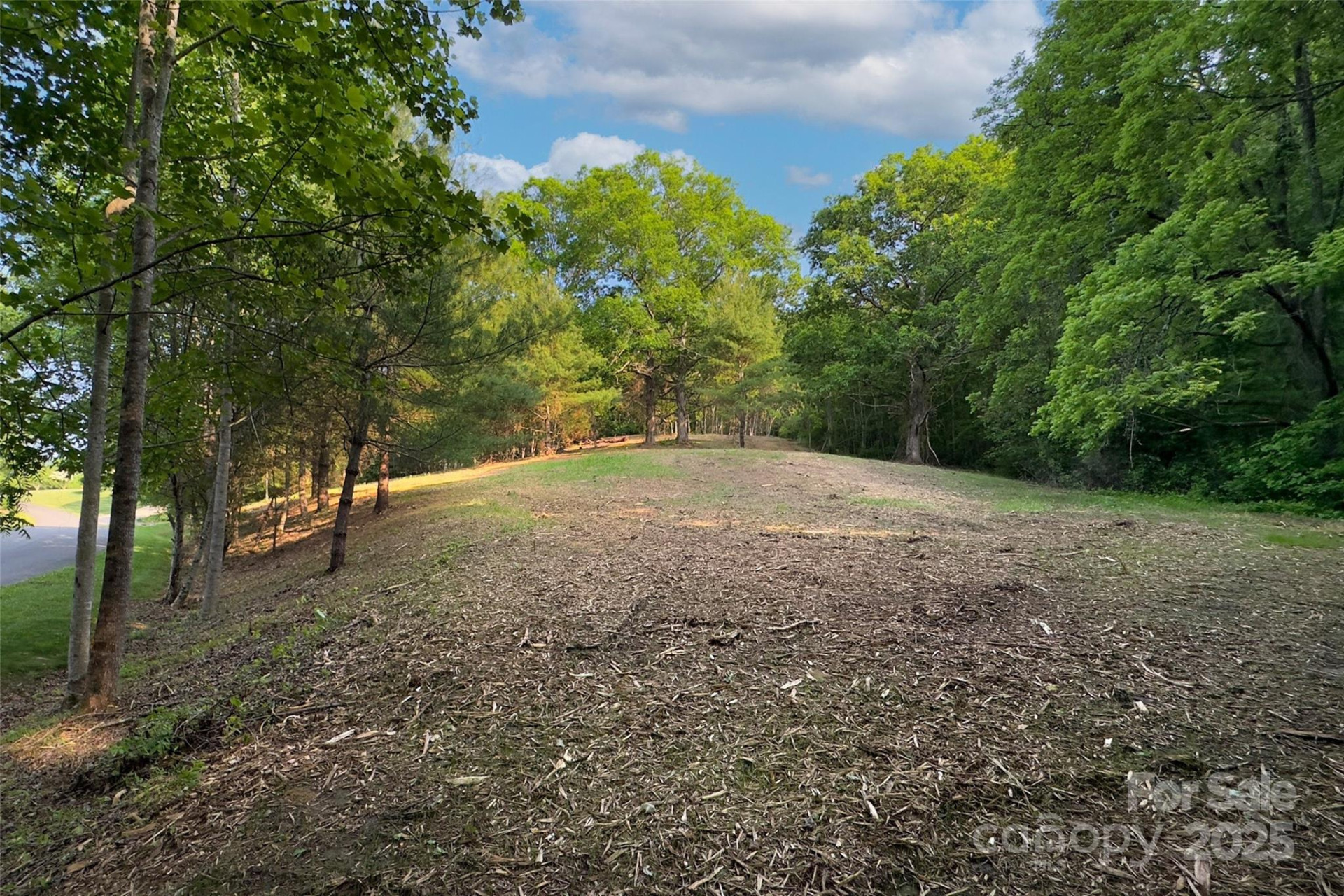 V/L Smith Knolls Road - Photo 7