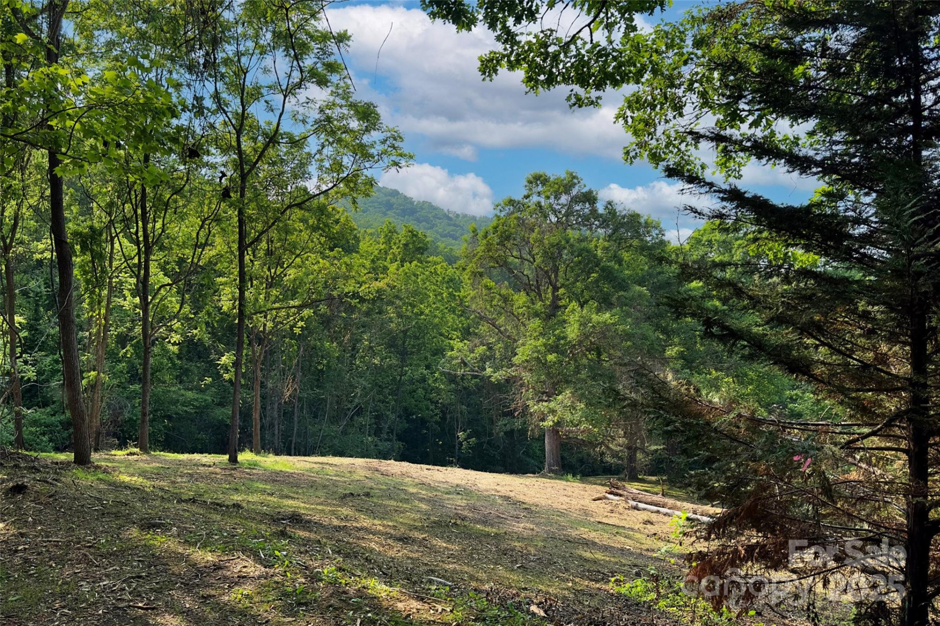 V/L Smith Knolls Road - Photo 8