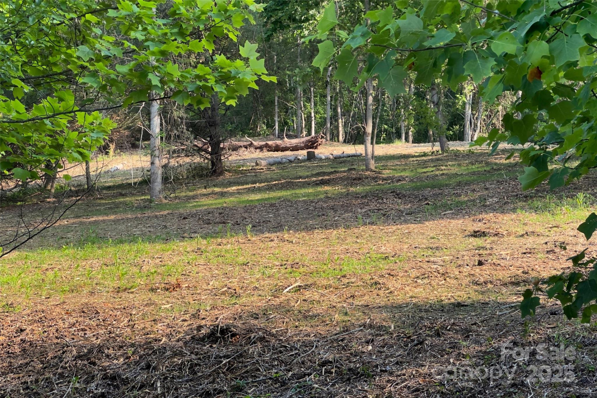 V/L Smith Knolls Road - Photo 9