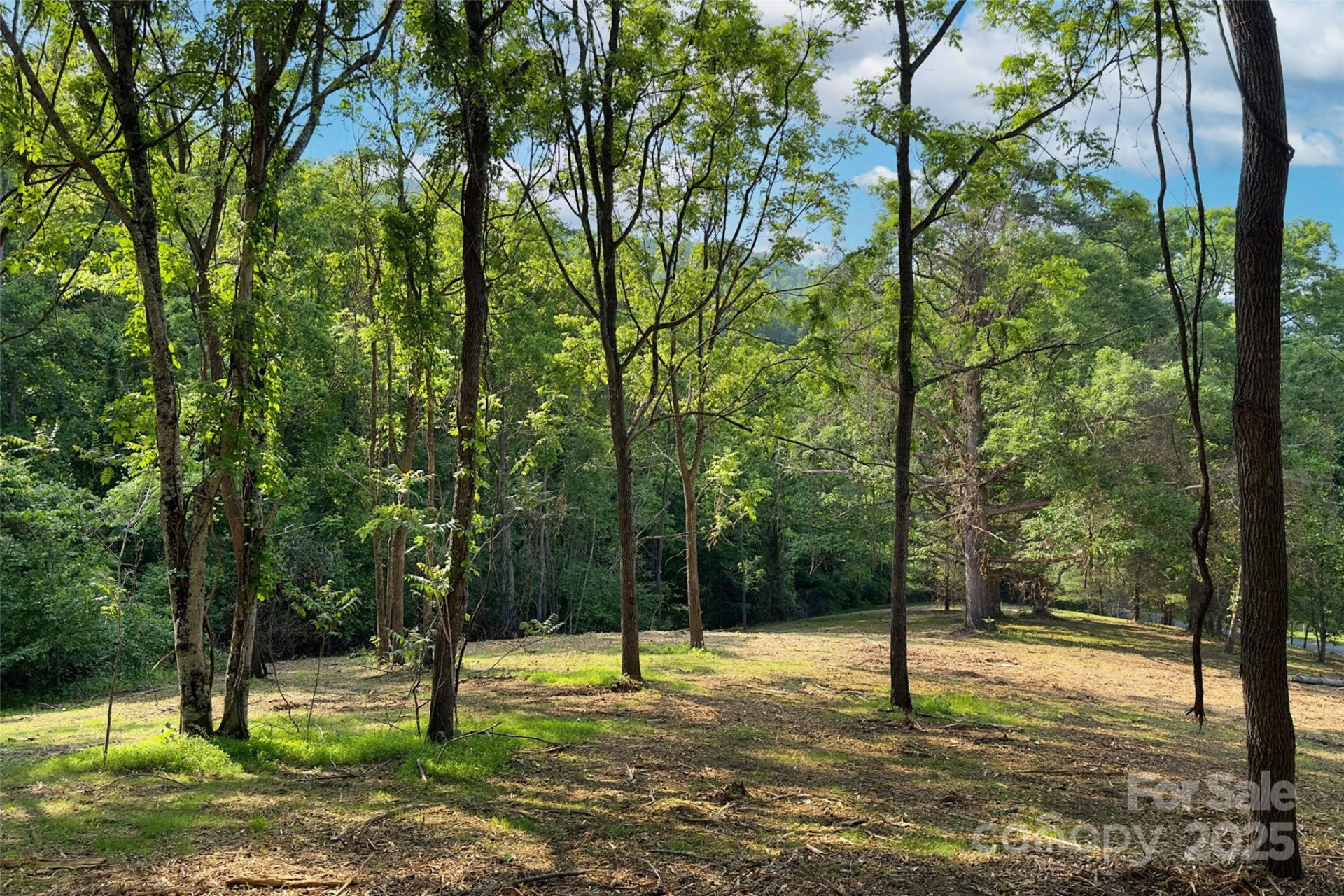 V/L Smith Knolls Road - Photo 10