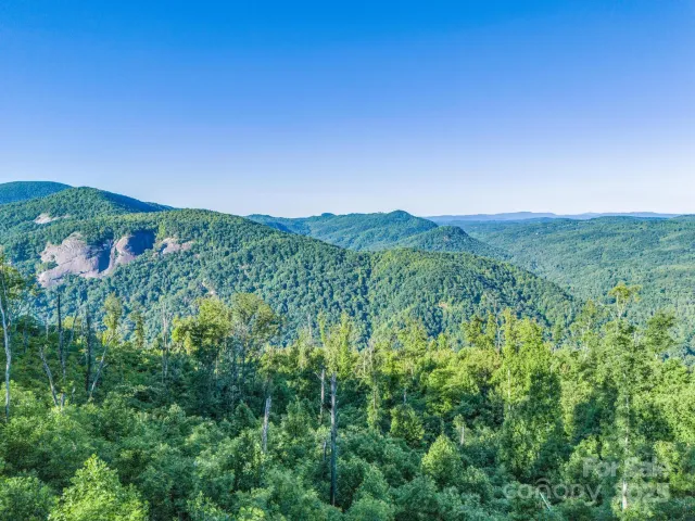 00 H and H Trail, Bat Cave, NC, 28710