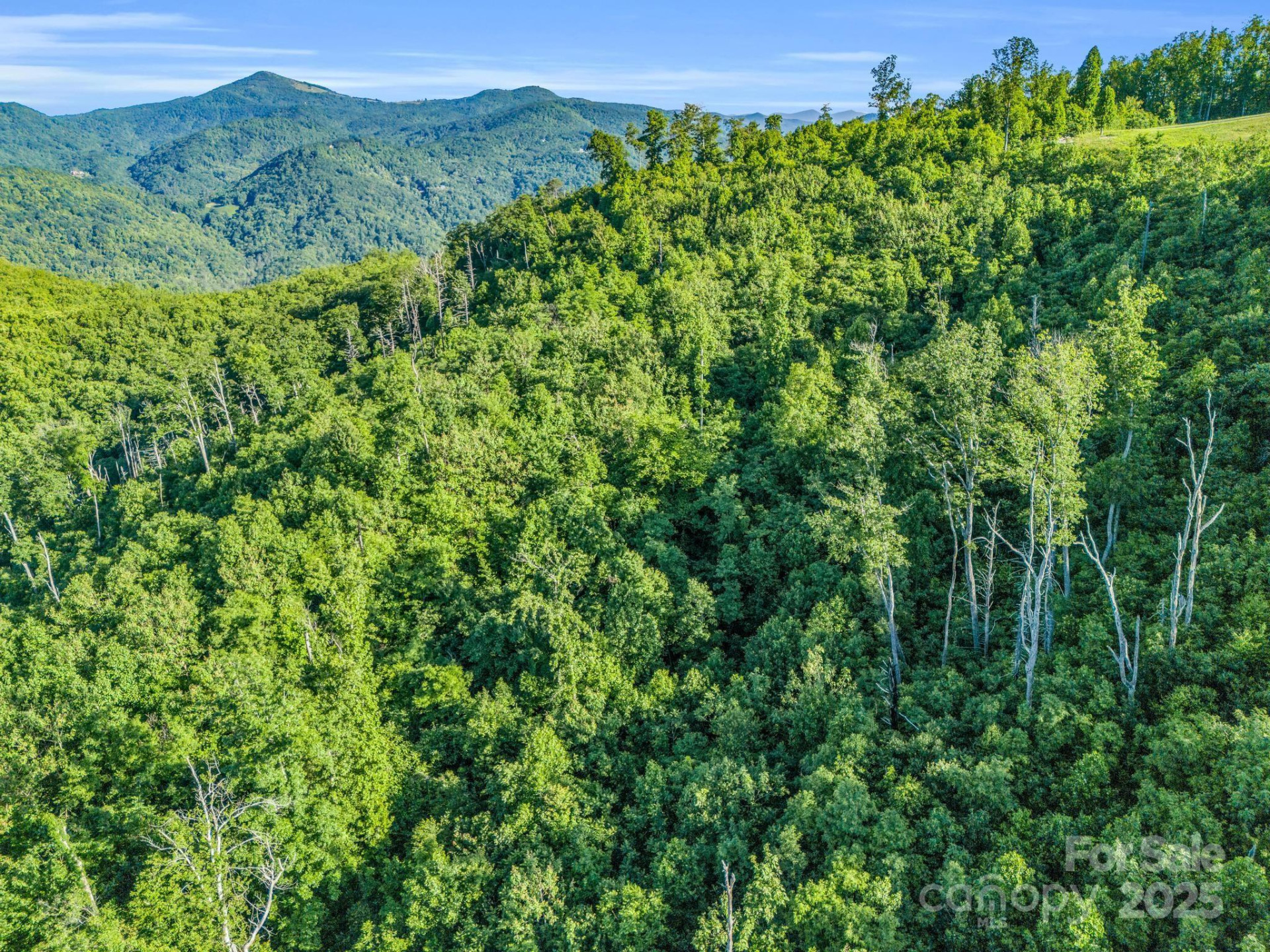 00 H and H Trail - Photo 35