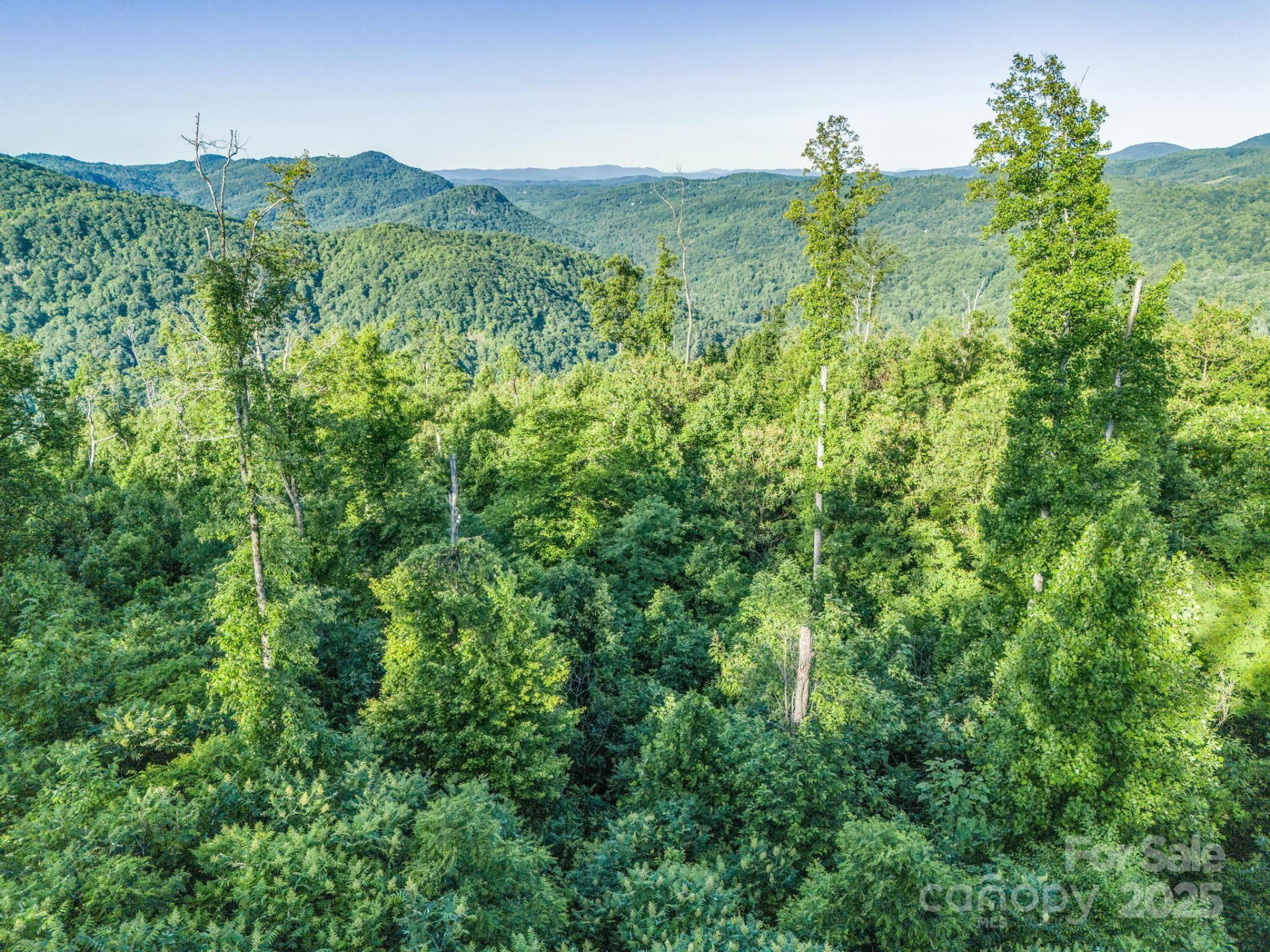 00 H and H Trail - Photo 5