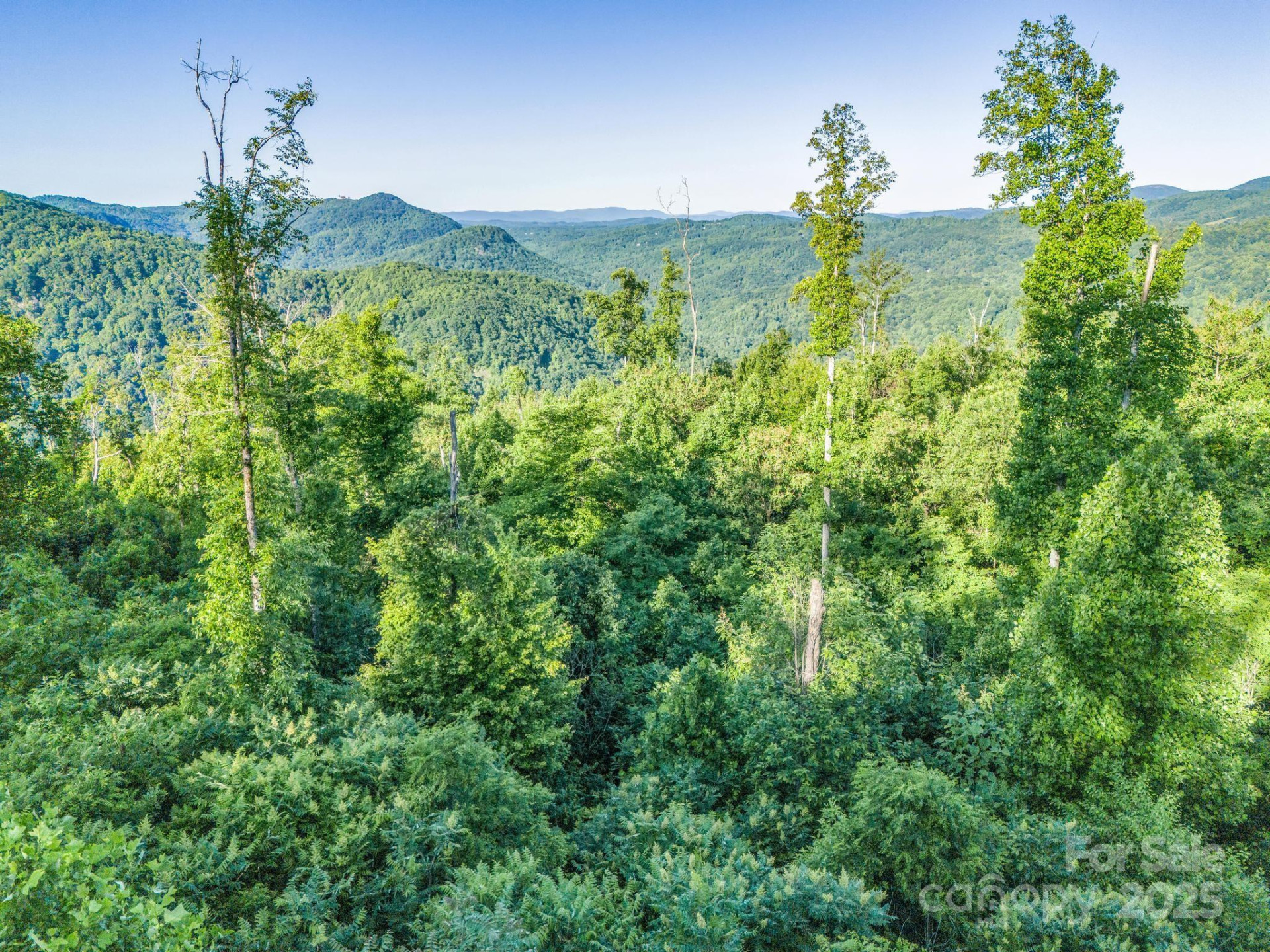 00 H and H Trail - Photo 7