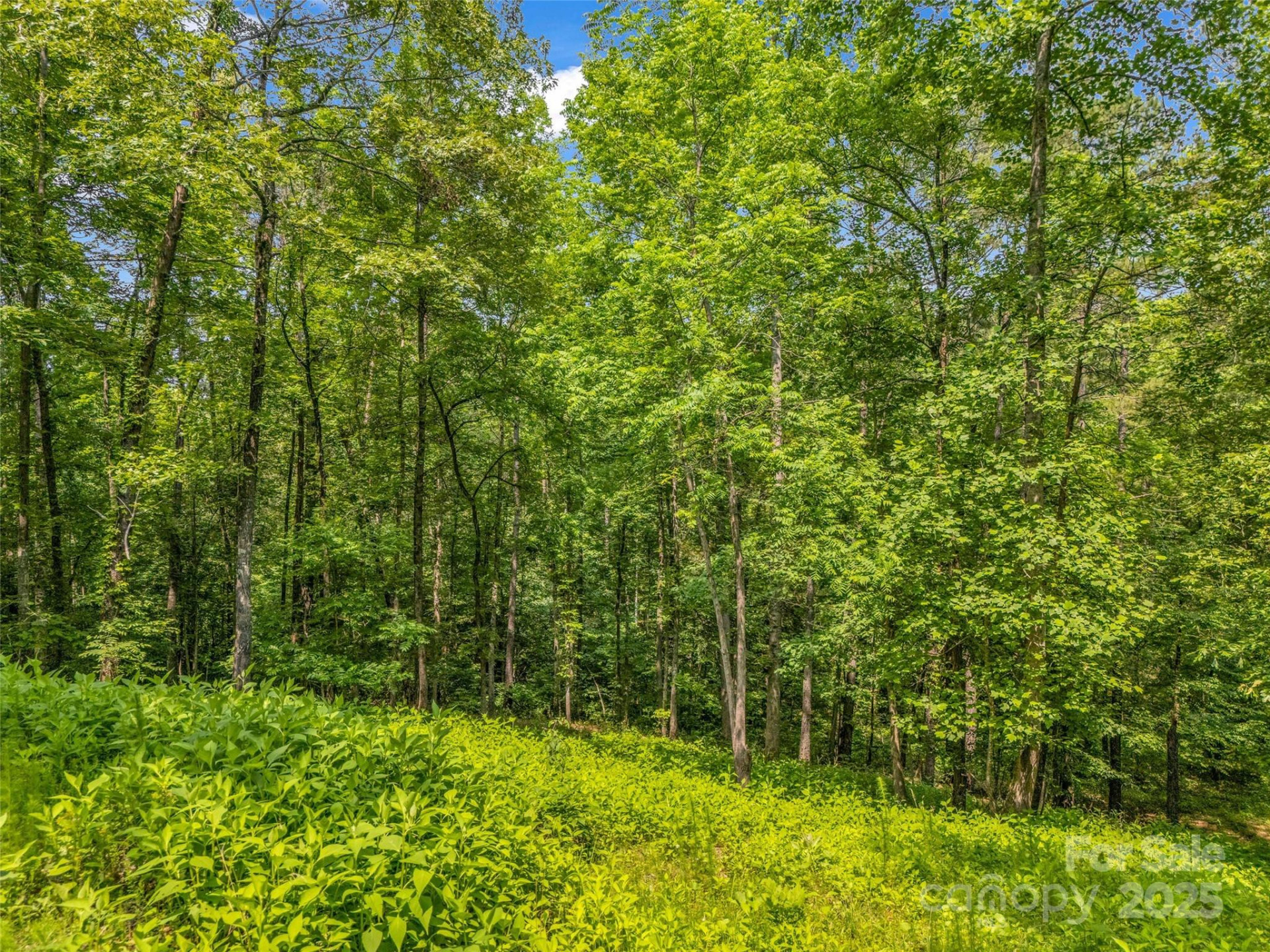 0 Creekside Circle #120 - Photo 3