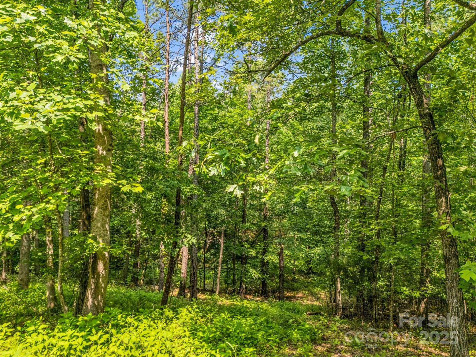 0 Creekside Circle #120 - Photo 4