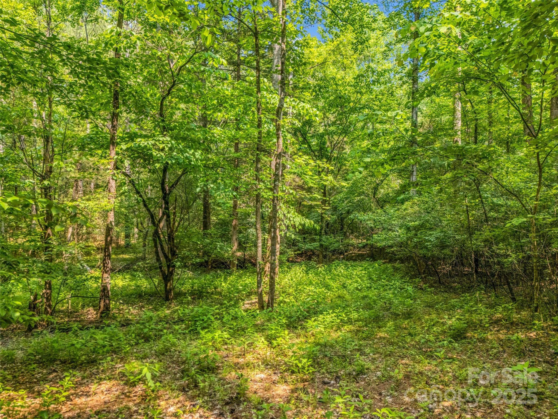 0 Creekside Circle #120 - Photo 5