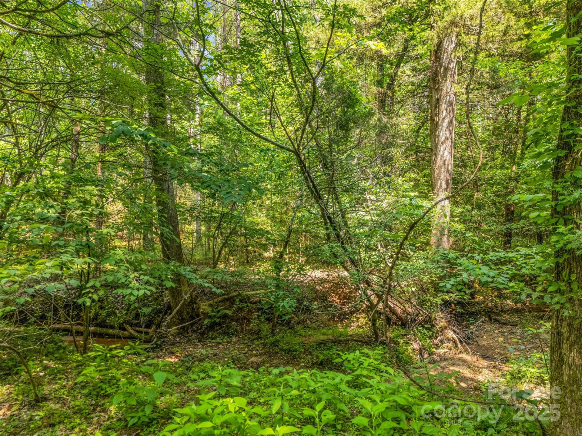 0 Creekside Circle #120 - Photo 6