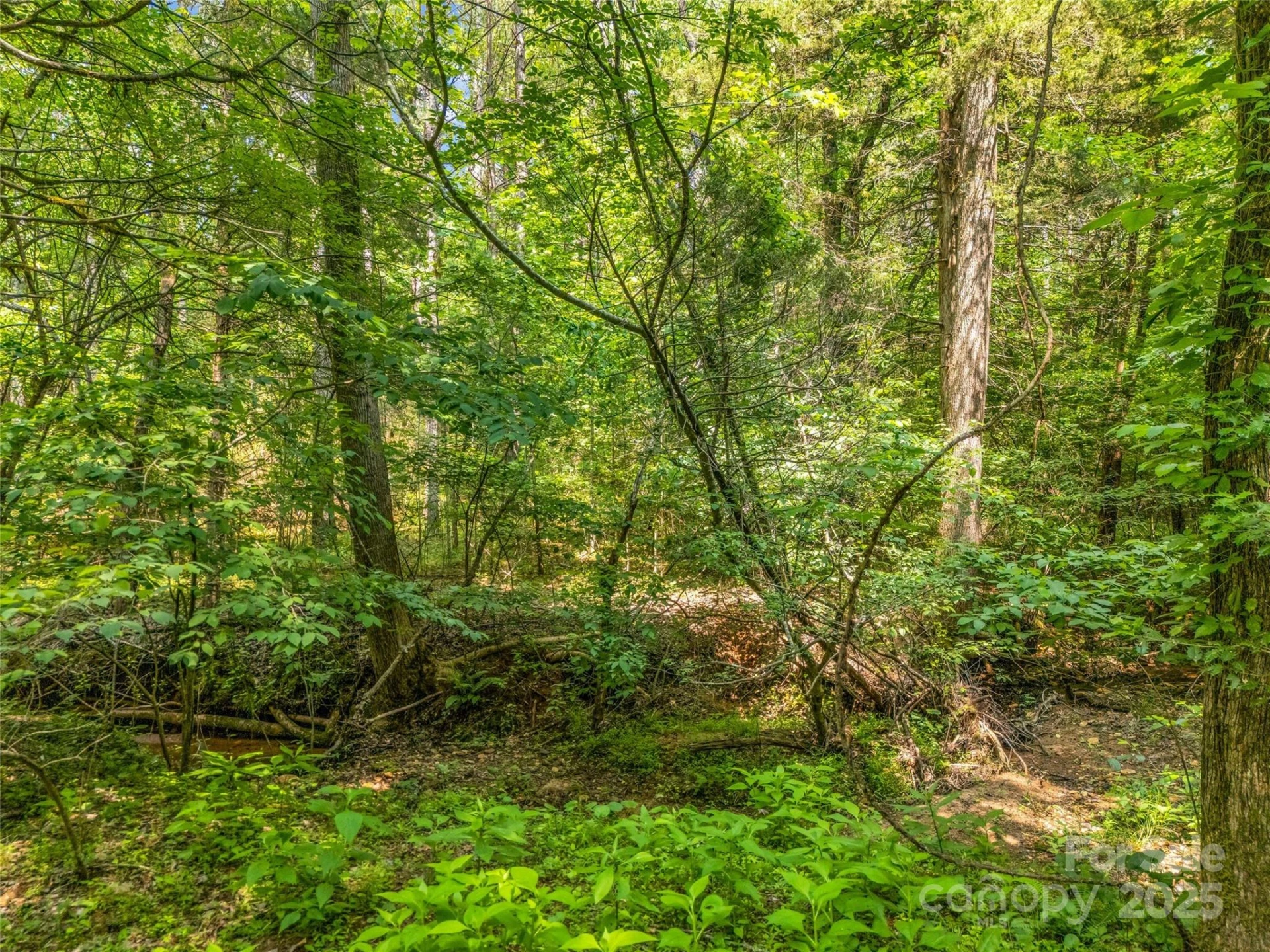 0 Creekside Circle #120 - Photo 6