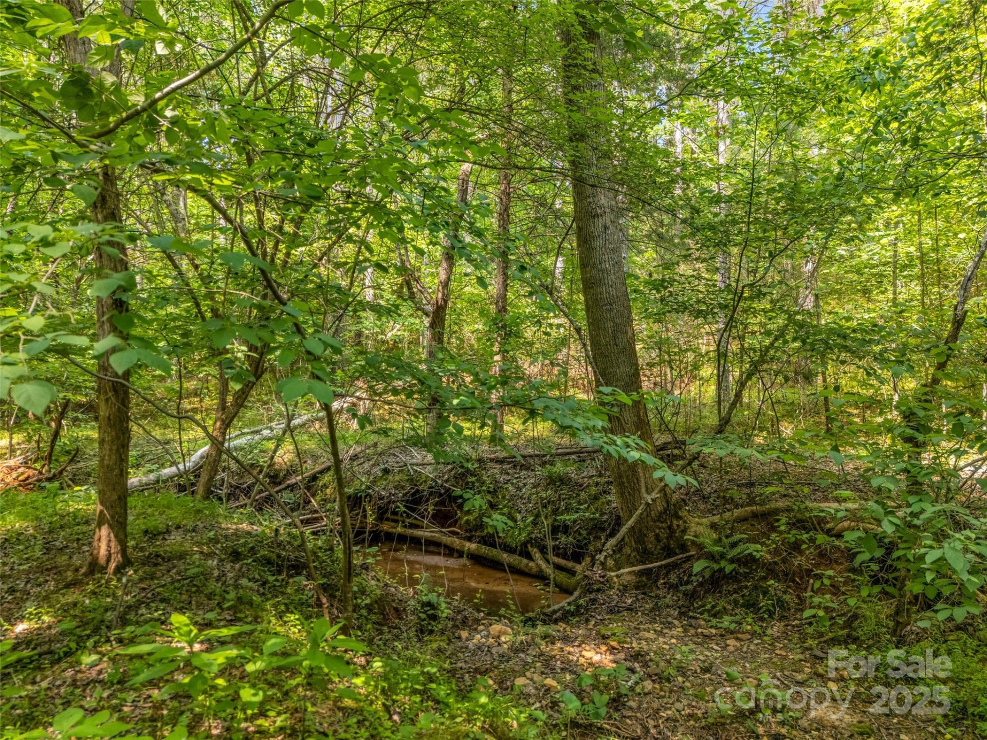 0 Creekside Circle #120 - Photo 7