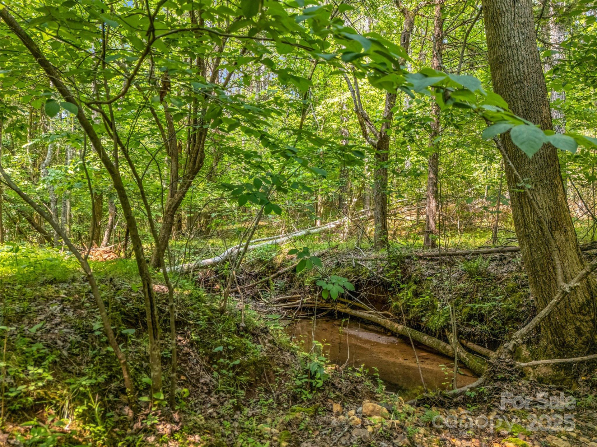 0 Creekside Circle #120 - Photo 8