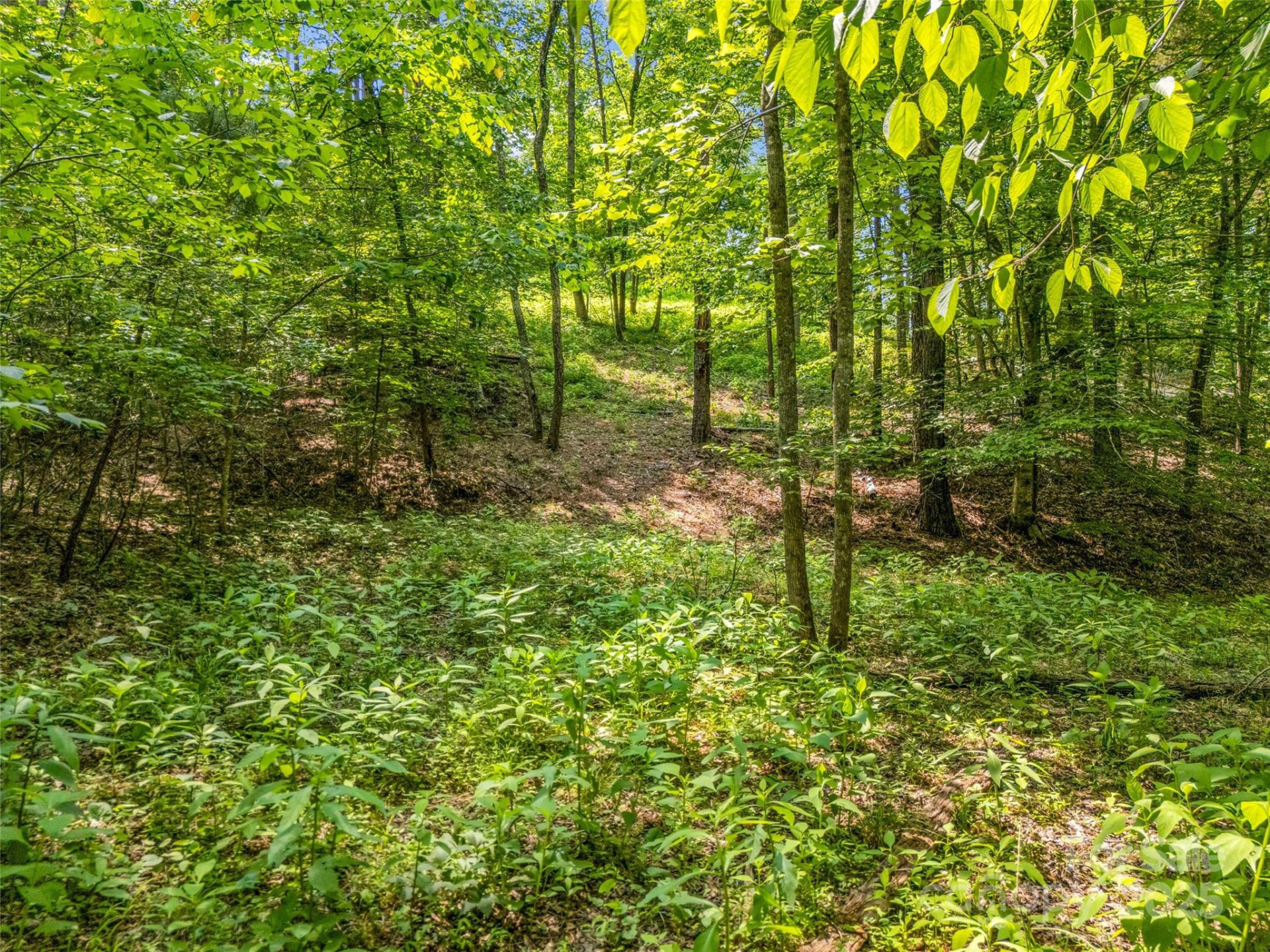 0 Creekside Circle #120 - Photo 9